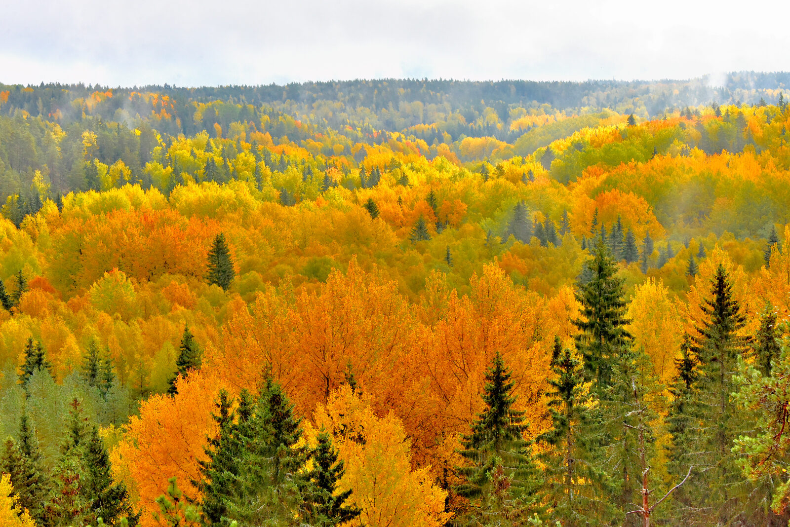 Valokuvaaja: Reijo Juurinen