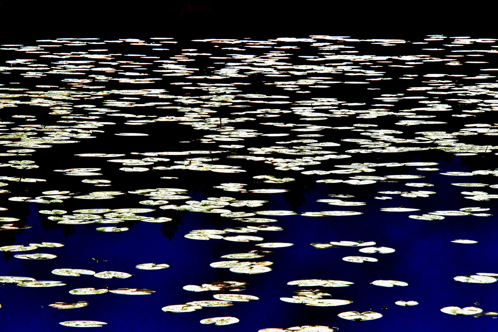 Valokuvaaja: Reijo Juurinen Valokuvaaja: Reijo Juurinen