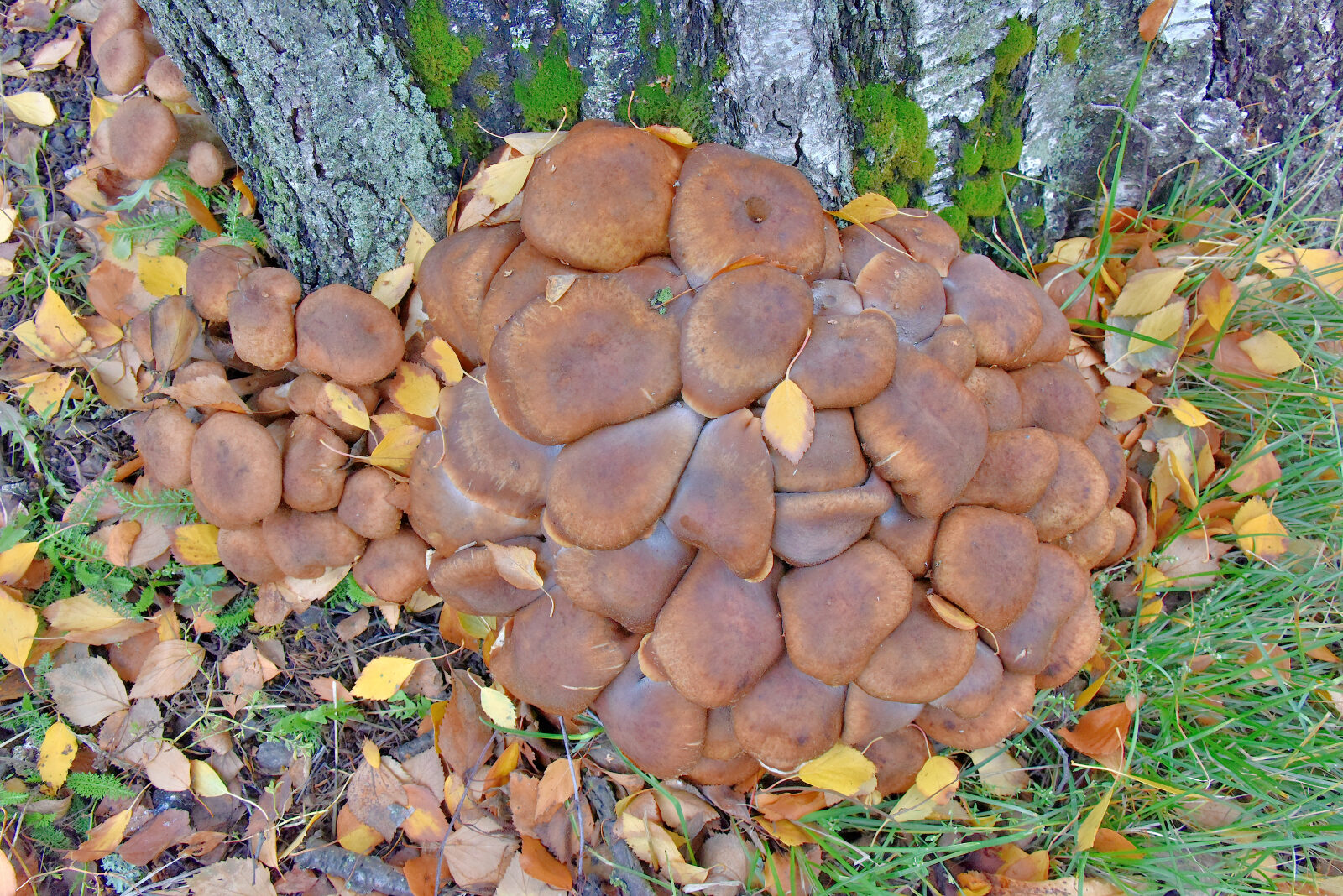 Valokuvaaja: Reijo Juurinen