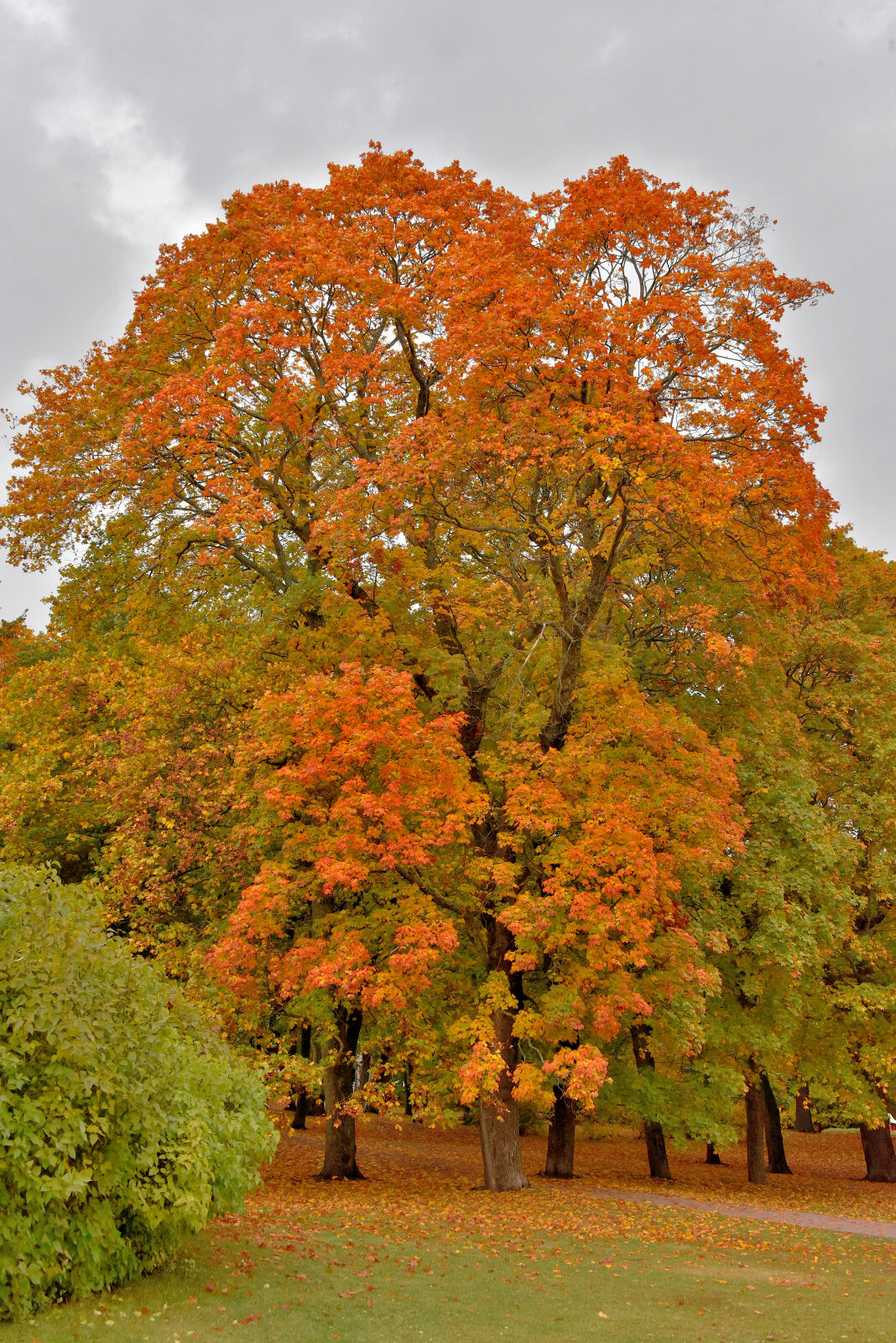 Valokuvaaja: Reijo Juurinen