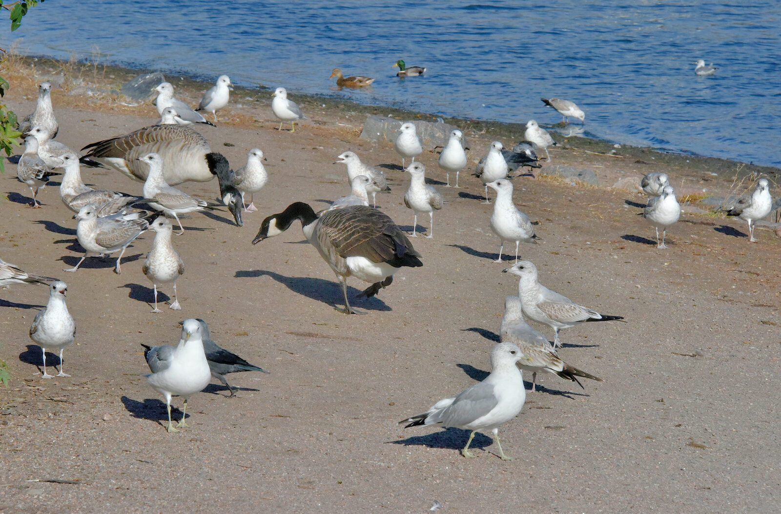 Valokuvaaja: Reijo Juurinen