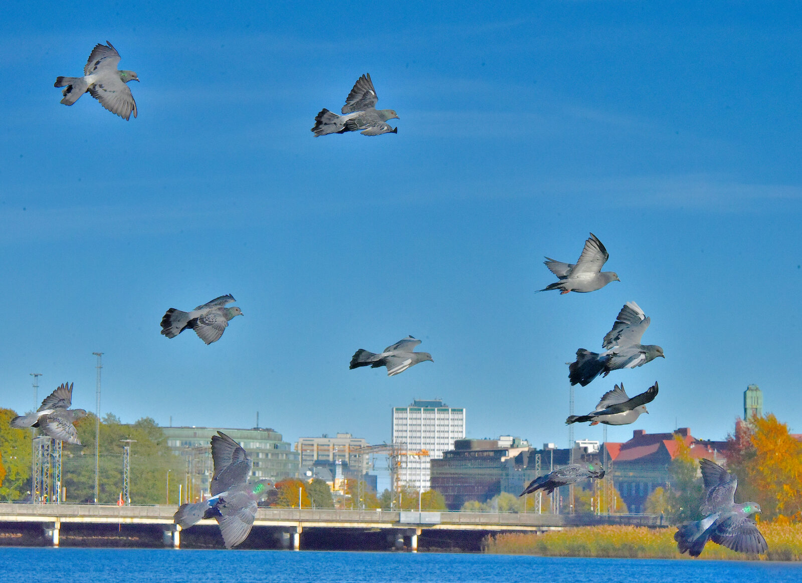 Valokuvaaja: Reijo Juurinen Valokuvaaja: Reijo Juurinen