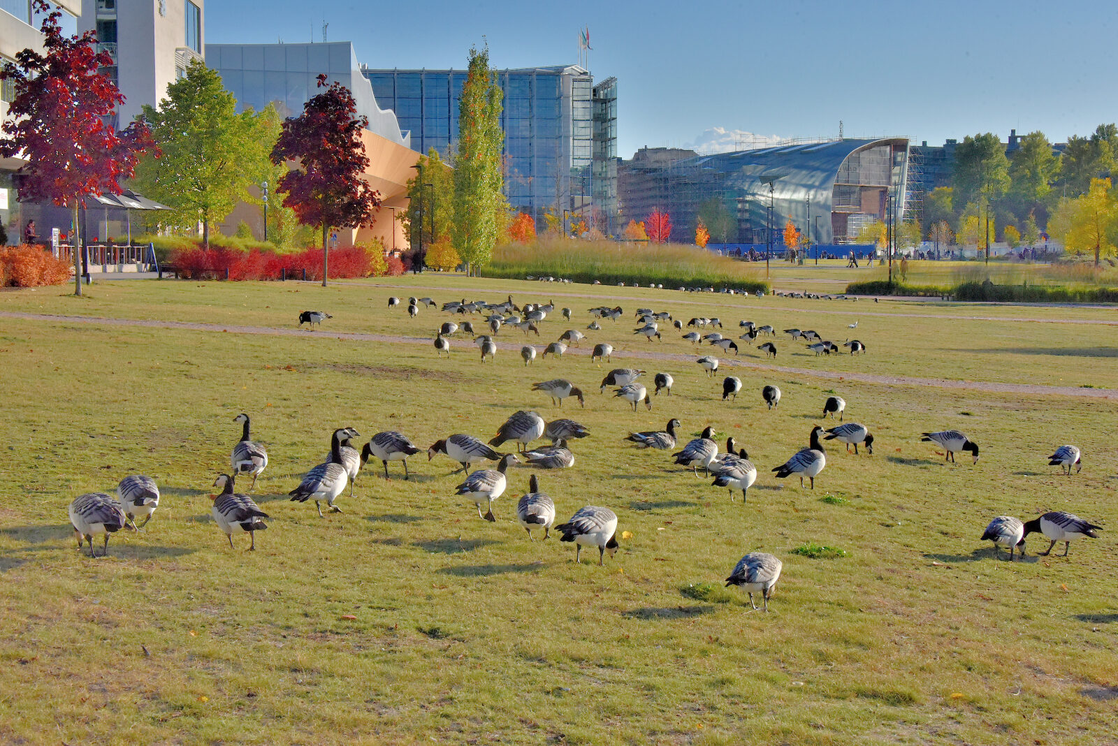 Valokuvaaja: Reijo Juurinen