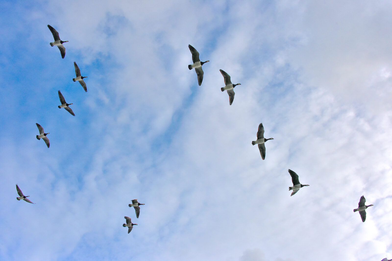 Valokuvaaja: Reijo Juurinen