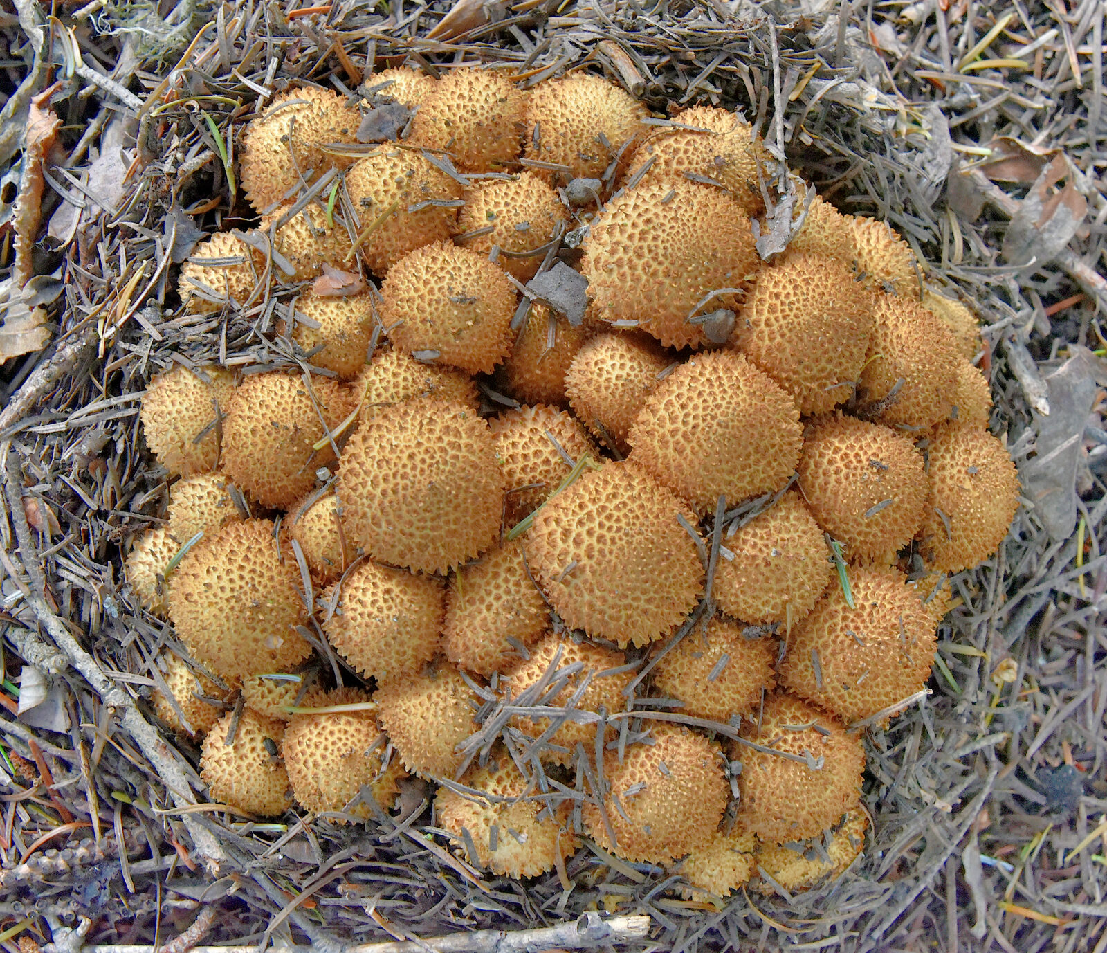 Valokuvaaja: Reijo Juurinen