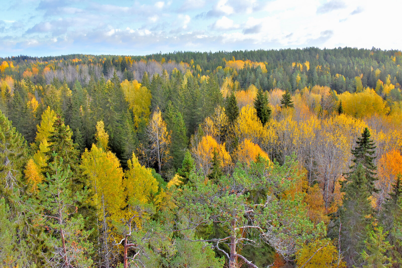 Valokuvaaja: Reijo Juurinen