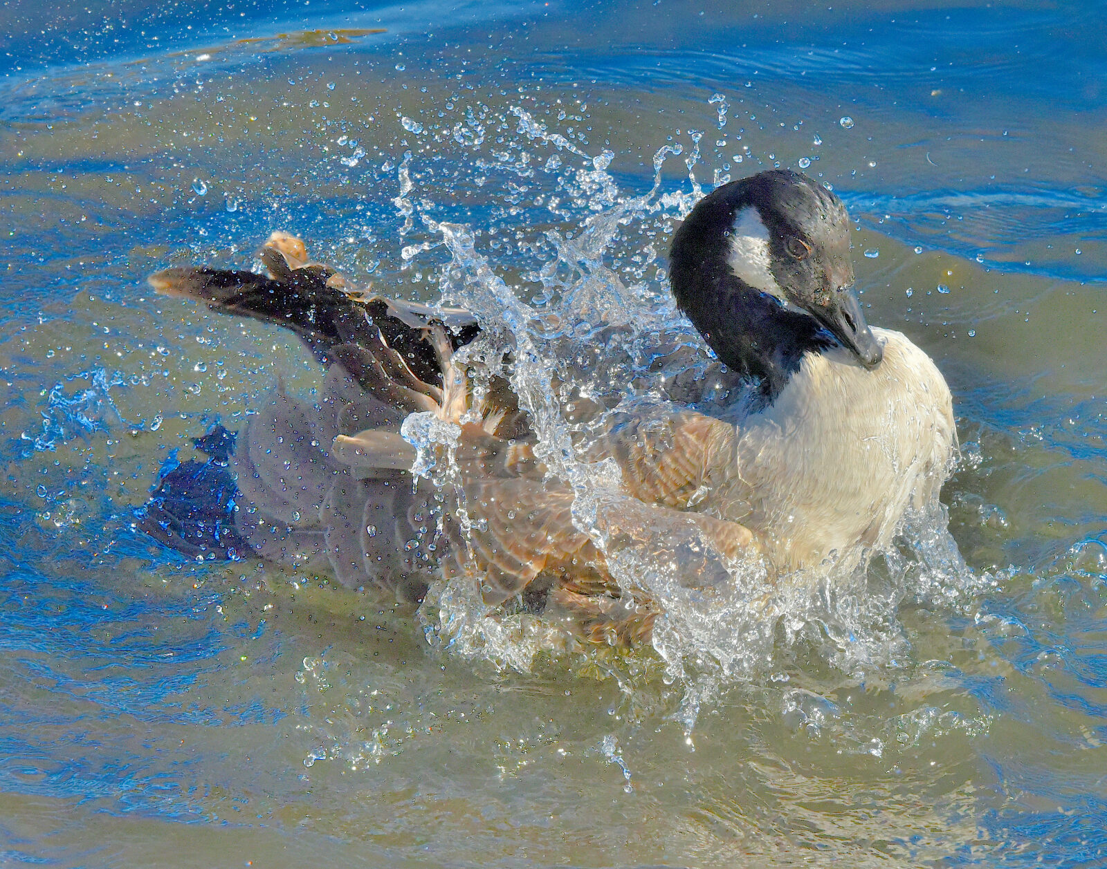 Valokuvaaja: Reijo Juurinen