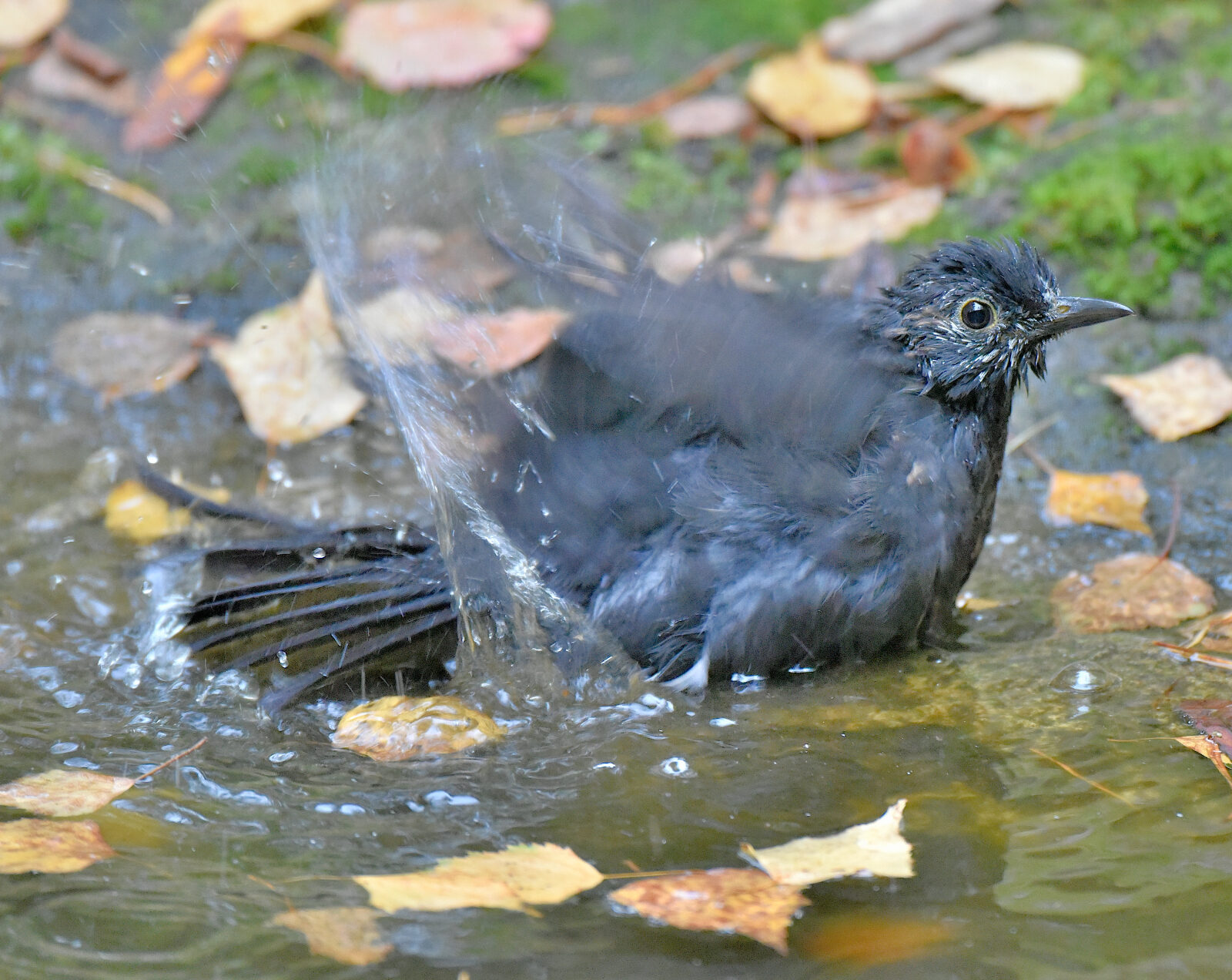Valokuvaaja: Reijo Juurinen