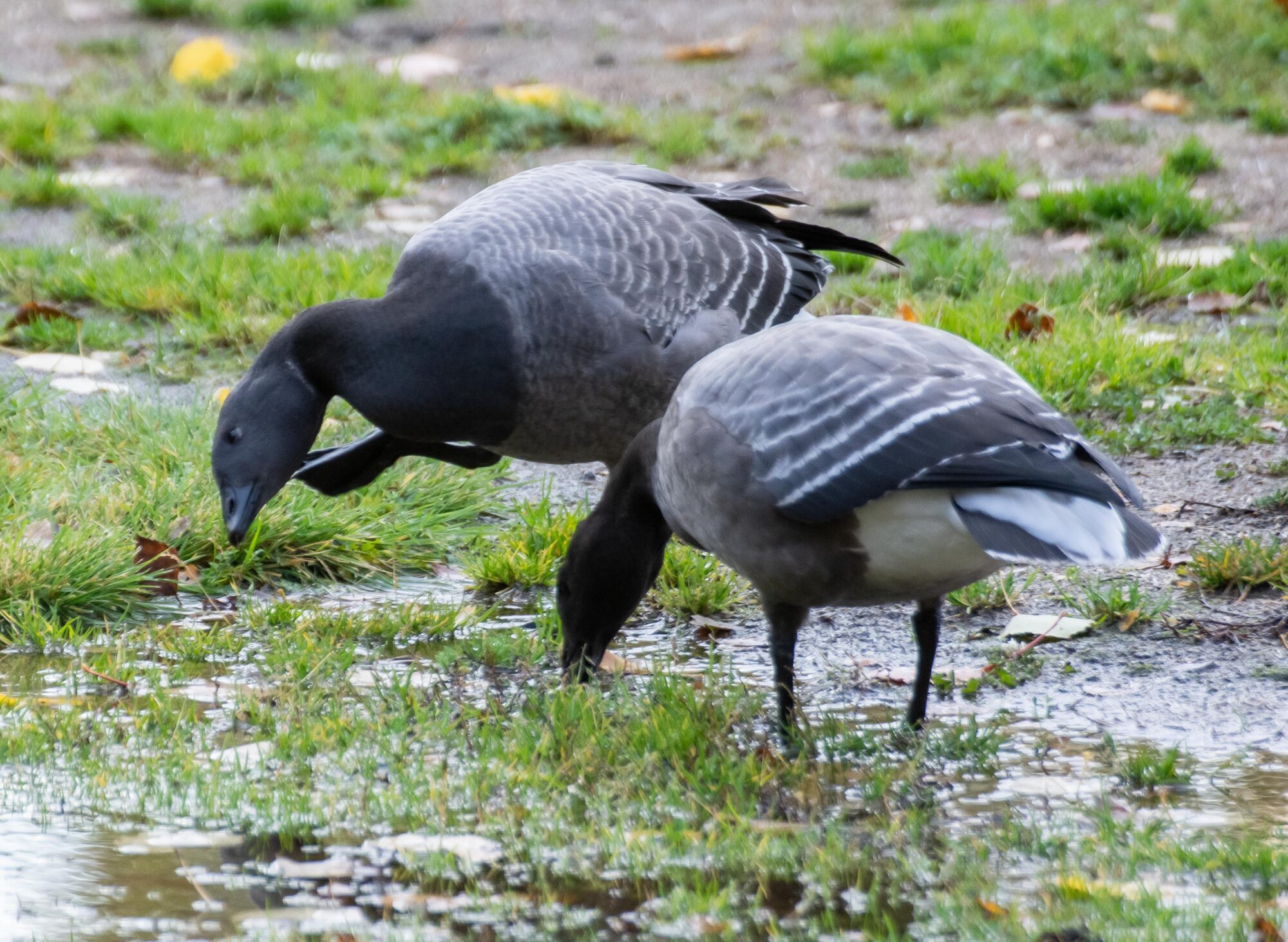 Valokuvaaja: Tuula Komsi