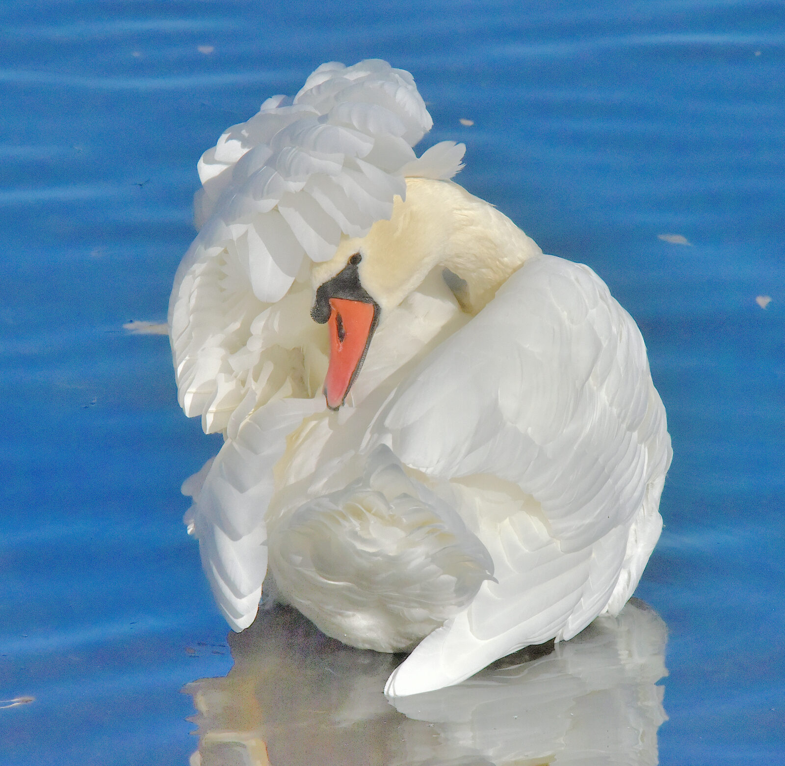 Valokuvaaja: Reijo Juurinen