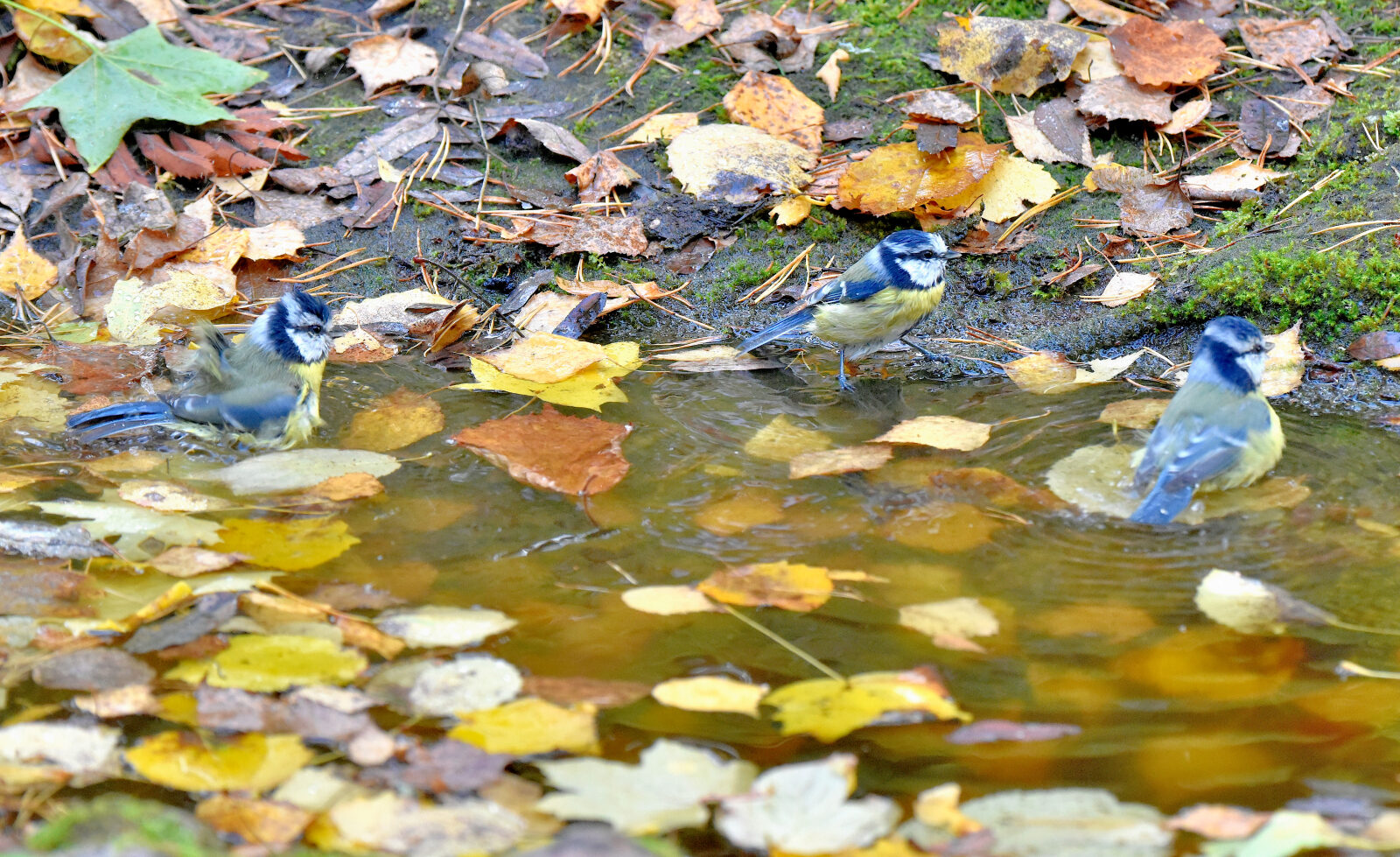 Valokuvaaja: Reijo Juurinen