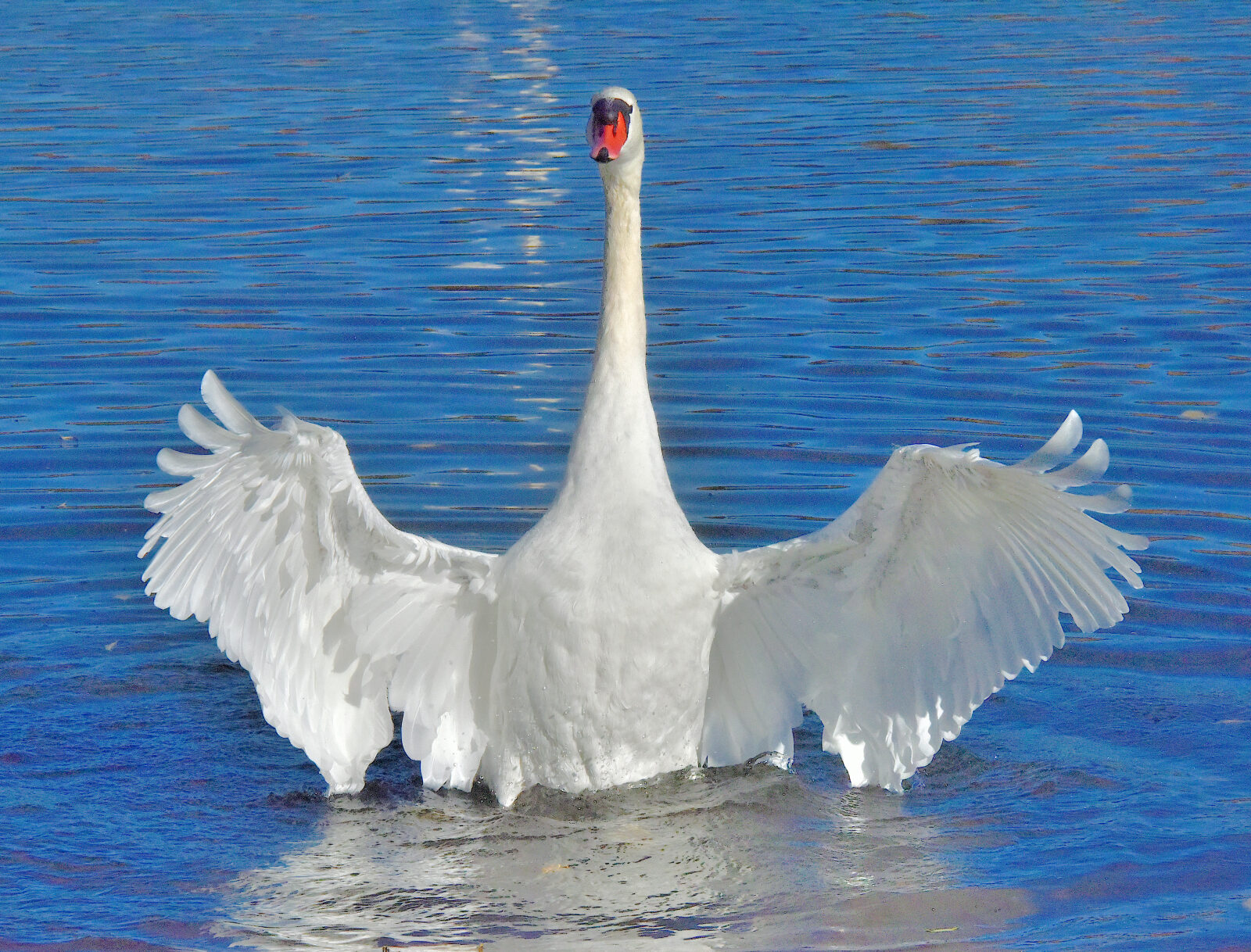 Valokuvaaja: Reijo Juurinen
