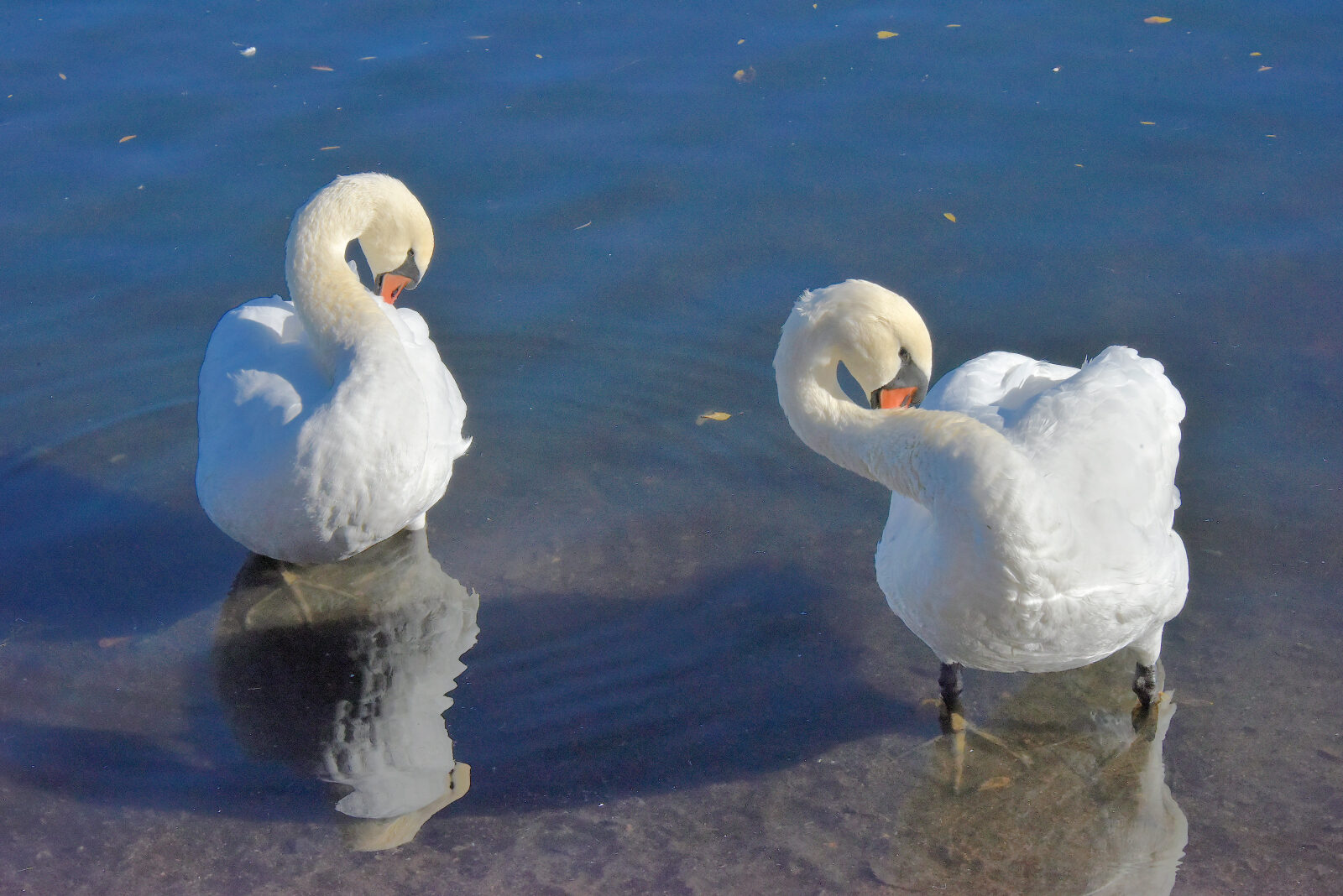 Valokuvaaja: Reijo Juurinen