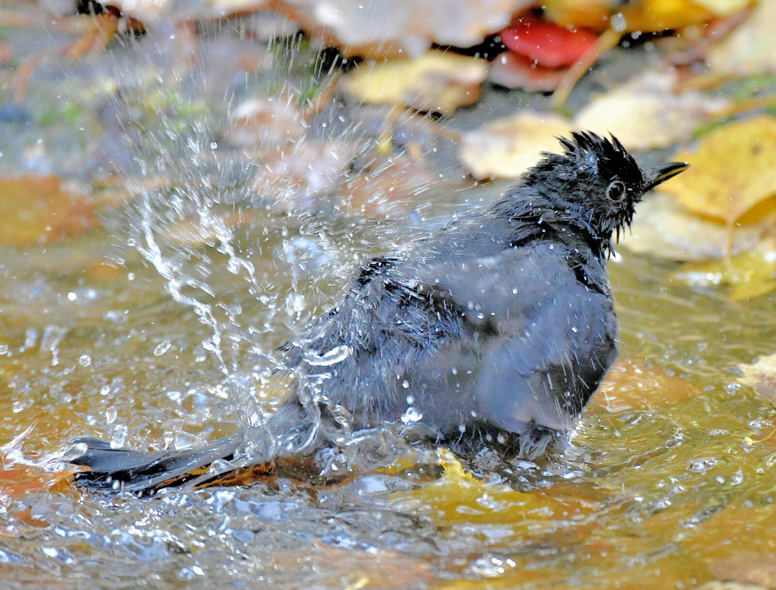 Valokuvaaja: Reijo Juurinen