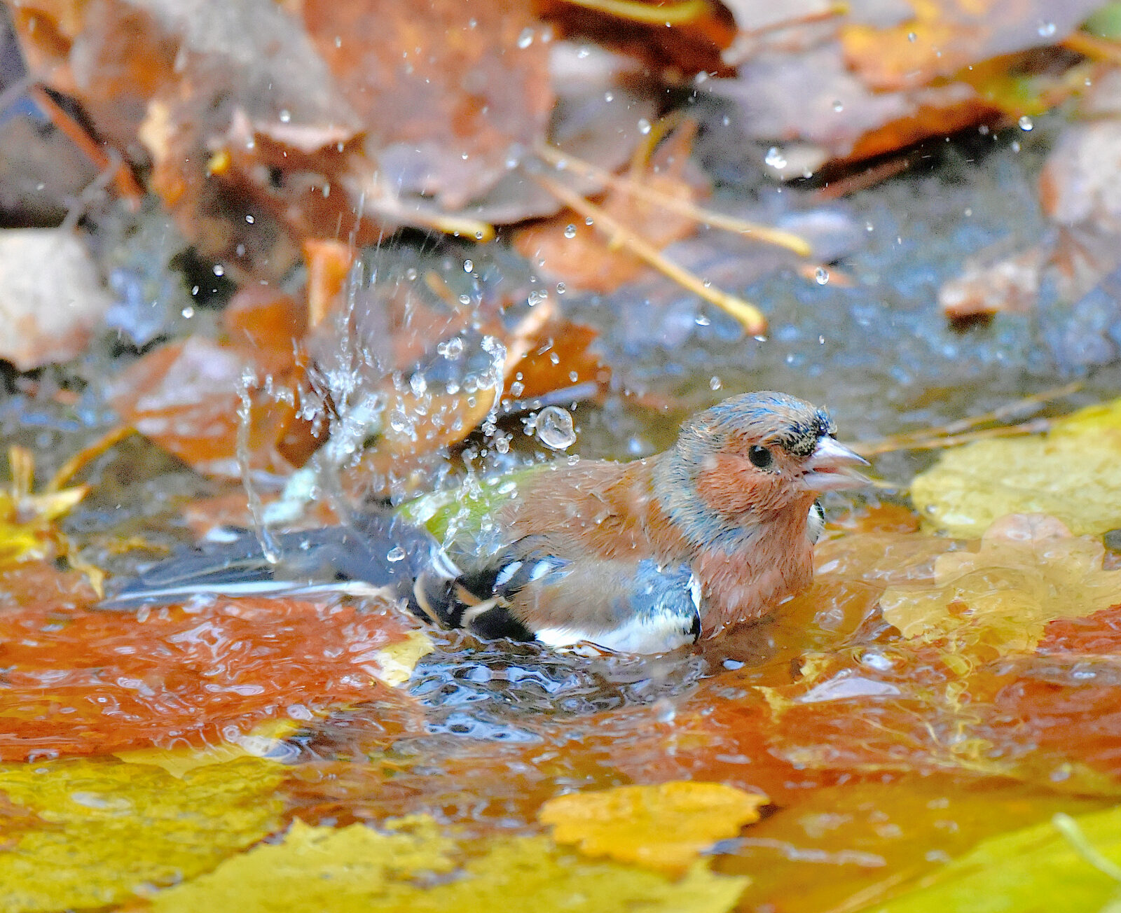 Valokuvaaja: Reijo Juurinen