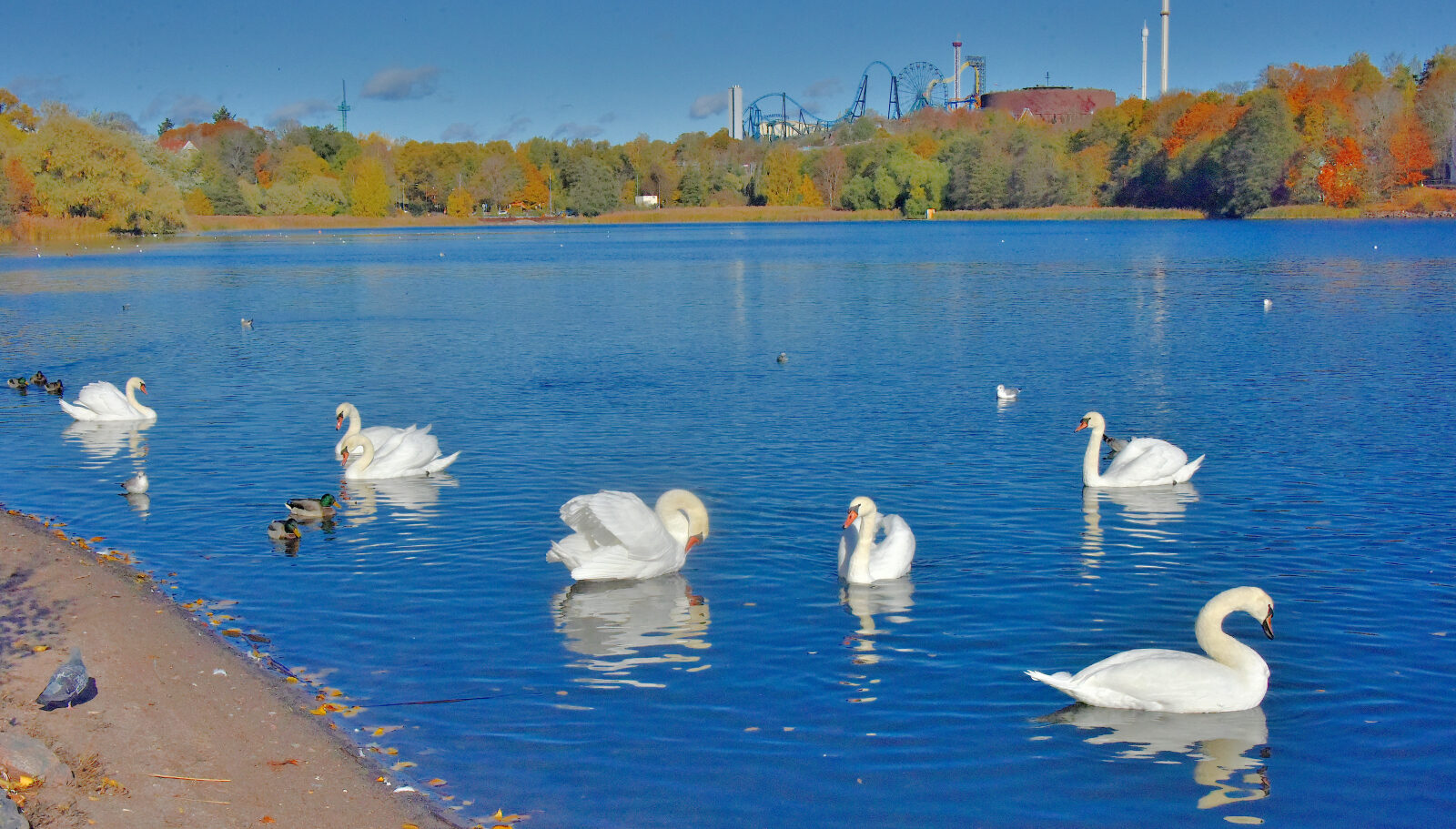 Valokuvaaja: Reijo Juurinen