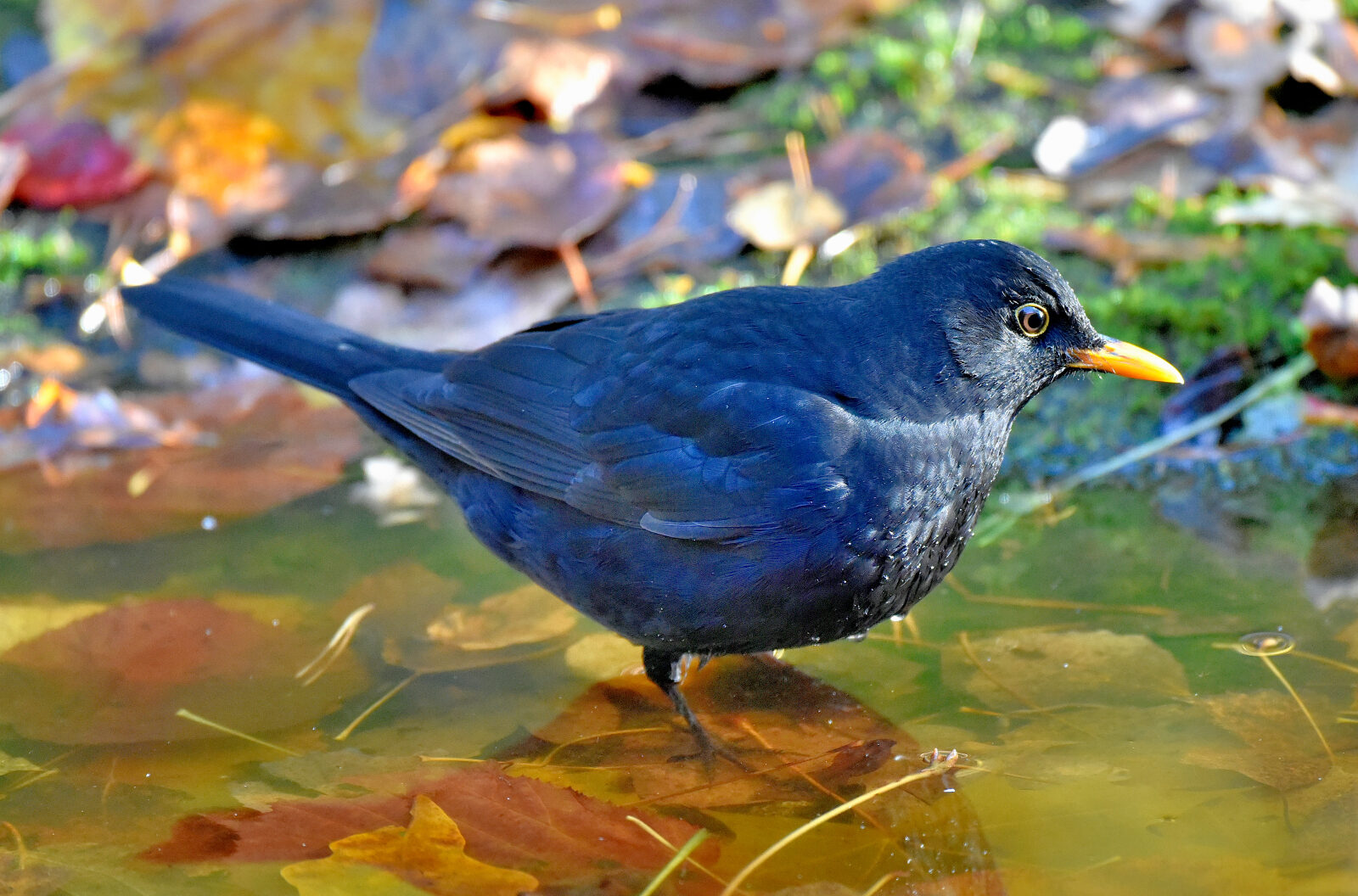 Valokuvaaja: Reijo Juurinen