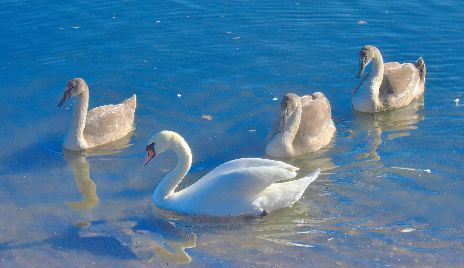 Valokuvaaja: Reijo Juurinen