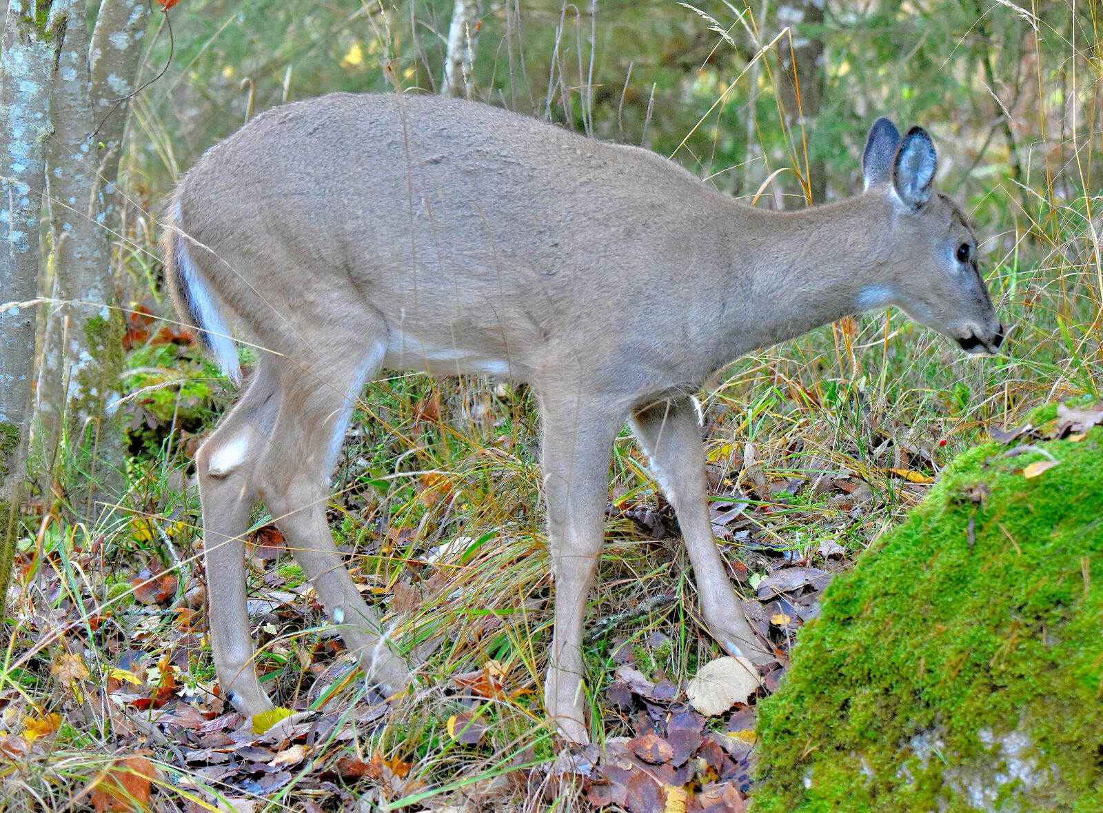 Valokuvaaja: Reijo Juurinen