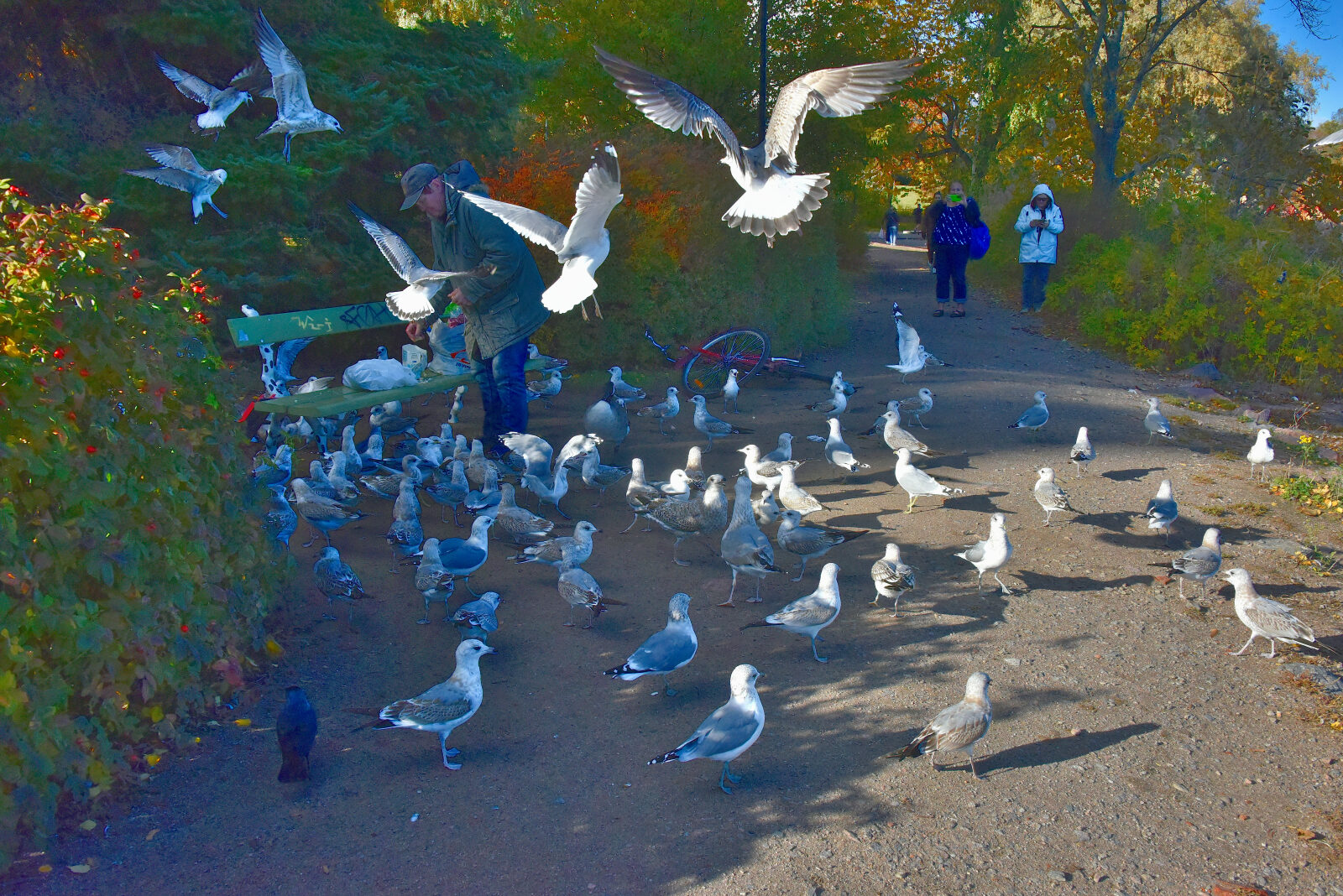 Valokuvaaja: Reijo Juurinen Valokuvaaja: Reijo Juurinen