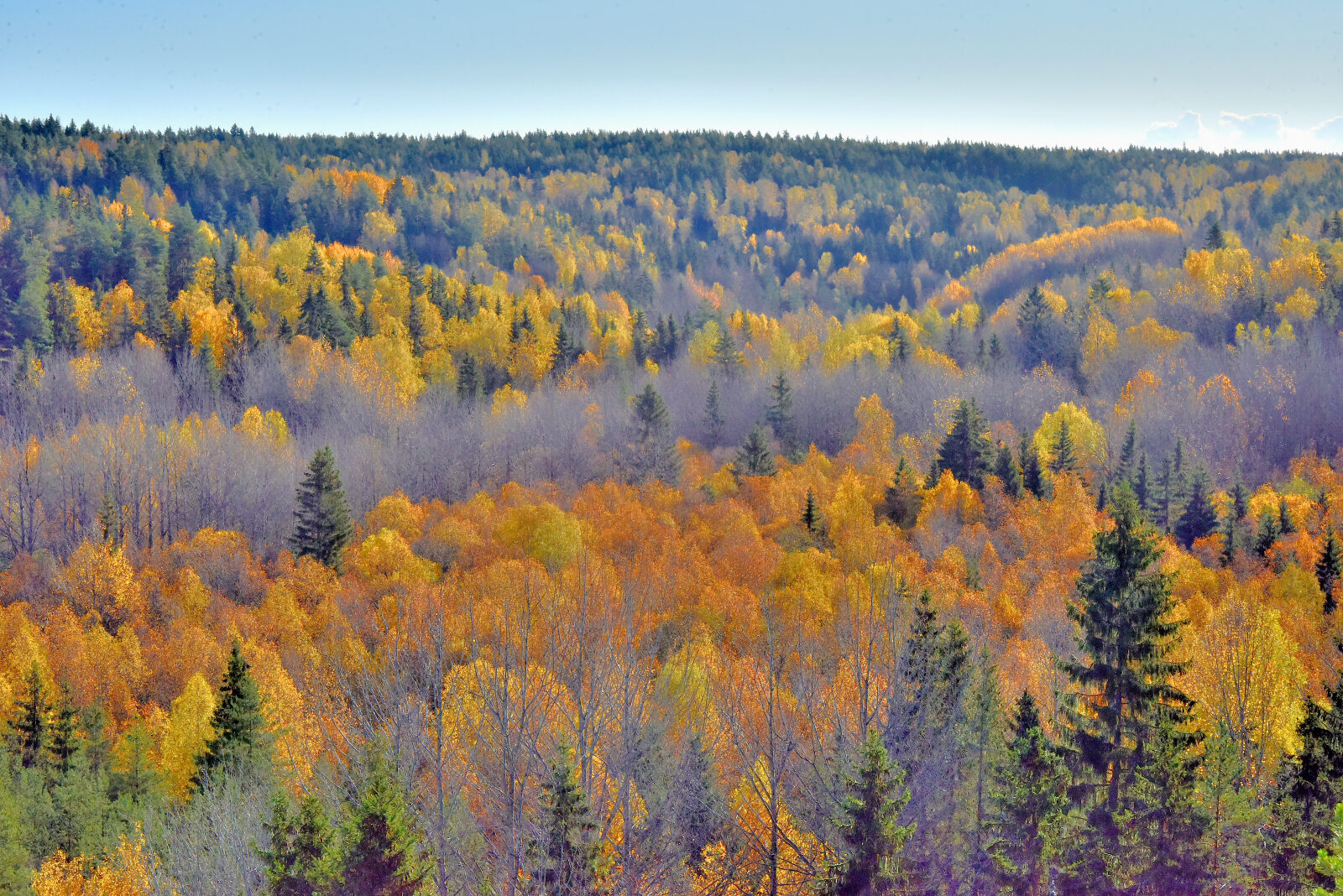 Valokuvaaja: Reijo Juurinen
