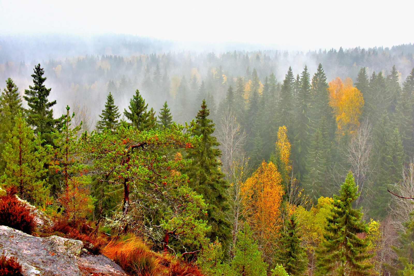 Valokuvaaja: Reijo Juurinen