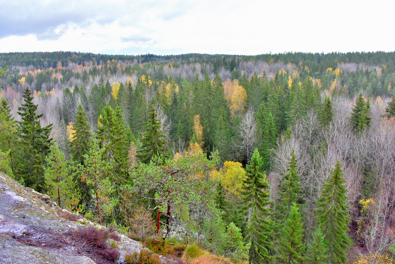 Valokuvaaja: Reijo Juurinen