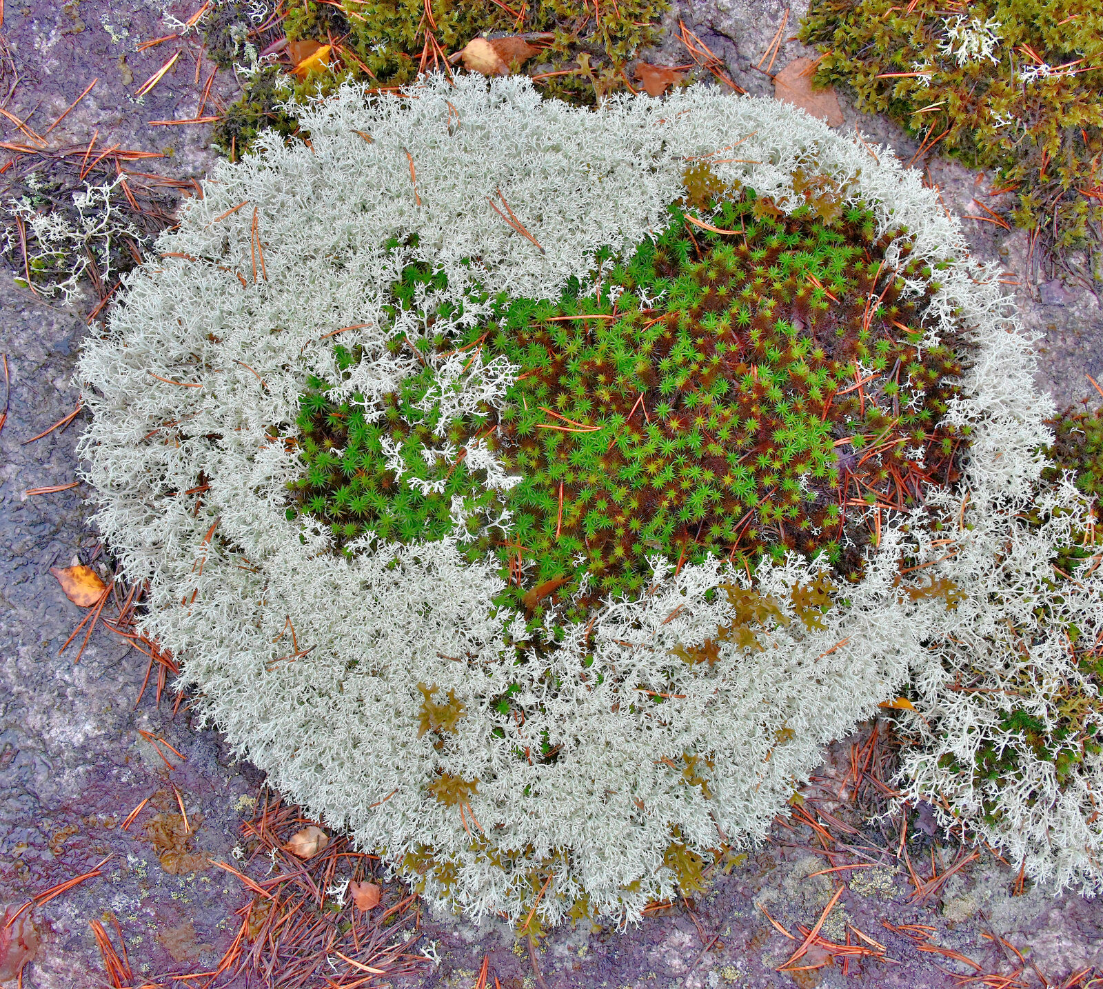 Valokuvaaja: Reijo Juurinen