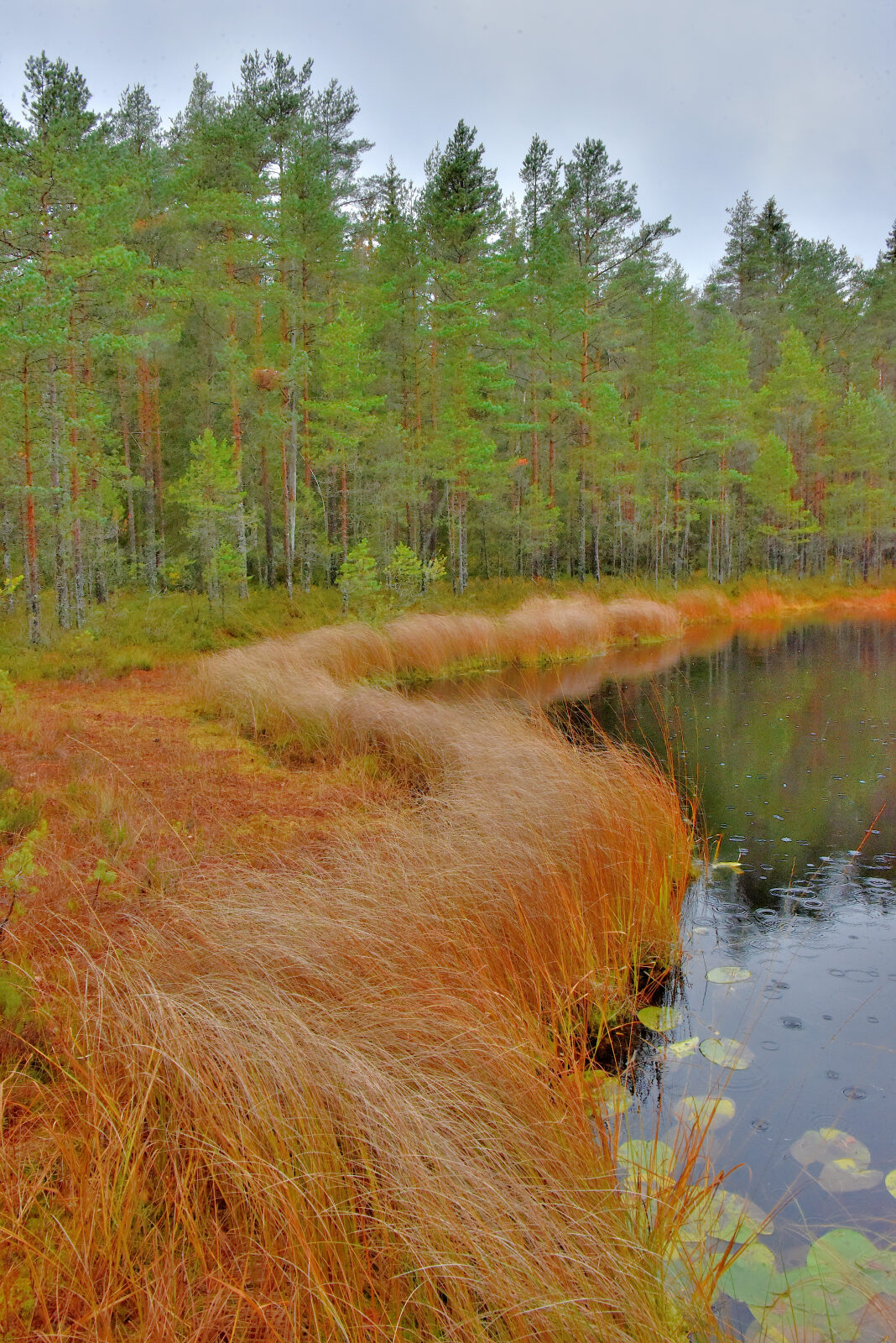 Valokuvaaja: Reijo Juurinen