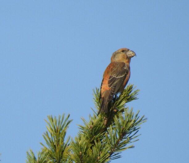 Valokuvaaja: Jarmo Mantere