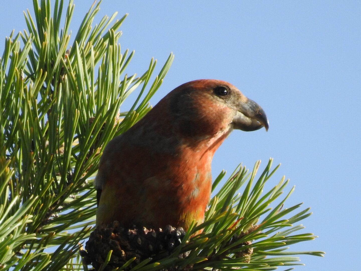 Valokuvaaja: Jarmo Mantere Valokuvaaja: Jarmo Mantere