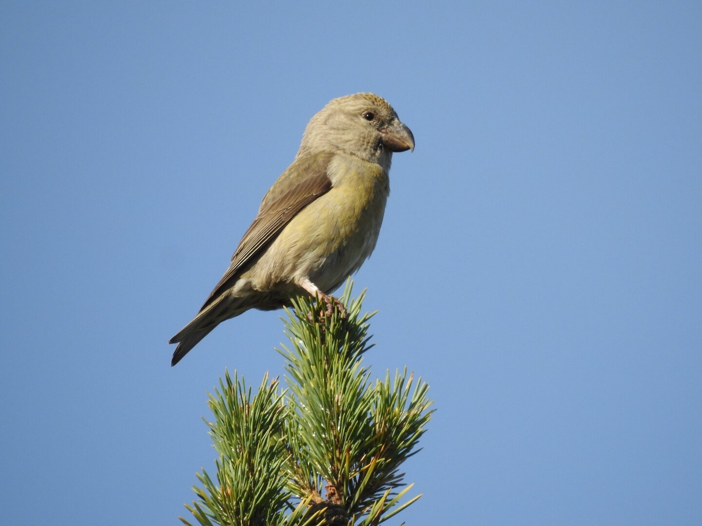 Valokuvaaja: Jarmo Mantere