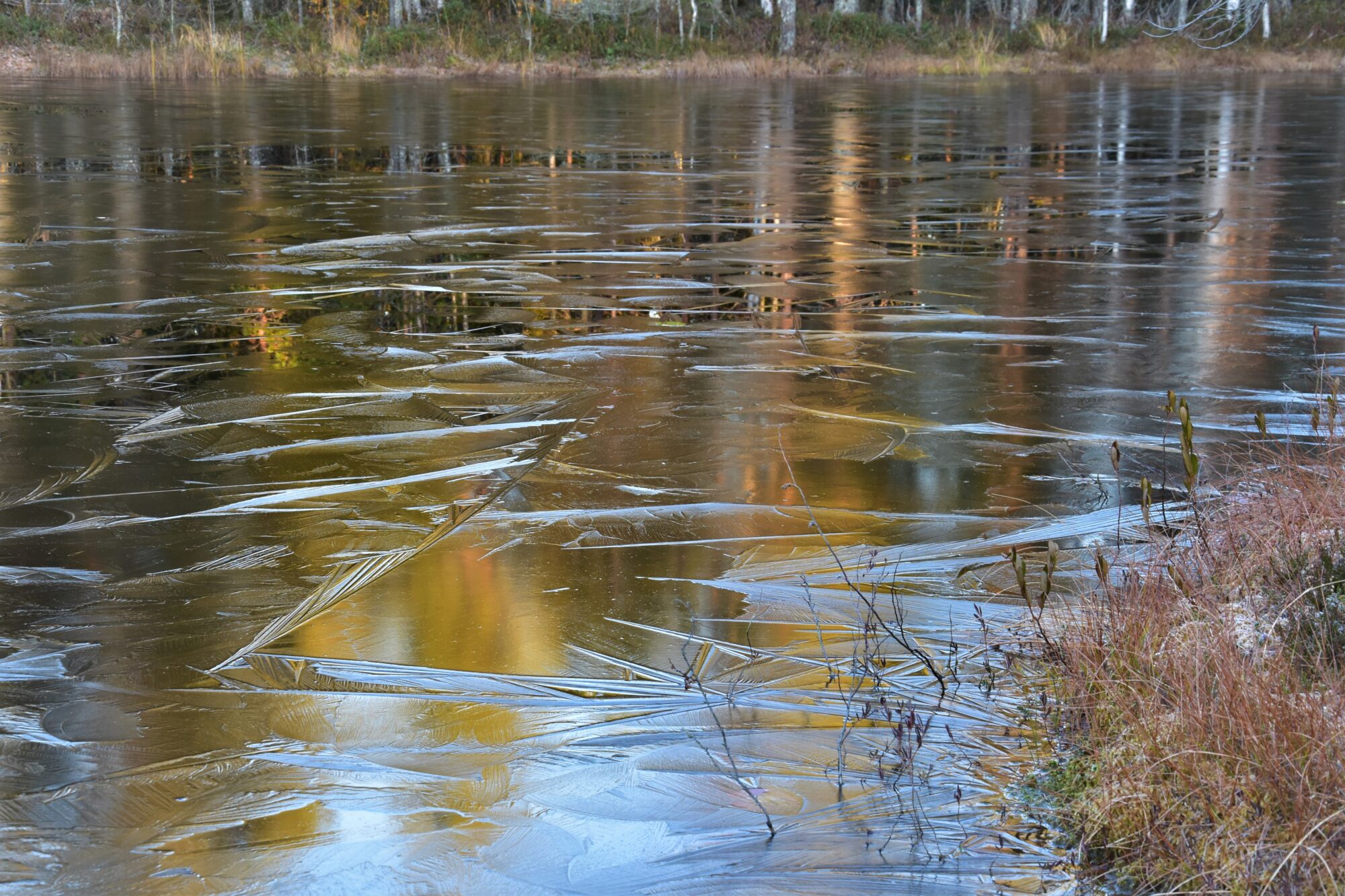 Valokuvaaja: Lahja Toivanen
