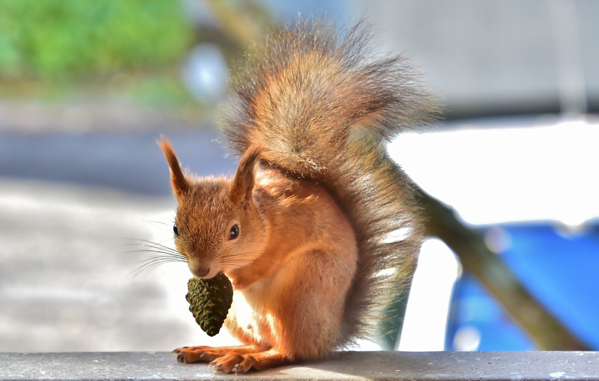 Valokuvaaja: Markku Pelkonen