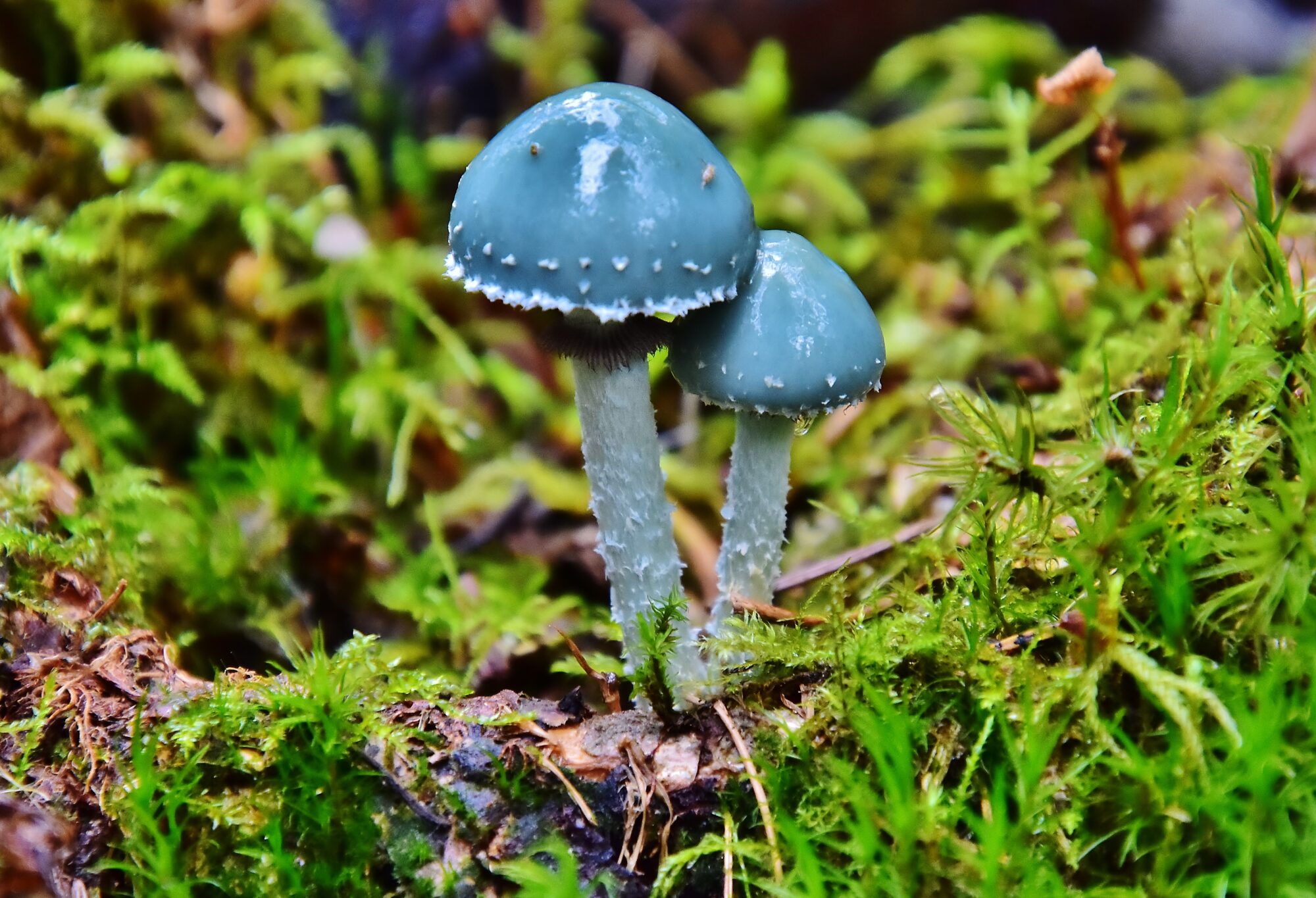 Valokuvaaja: Markku Pelkonen