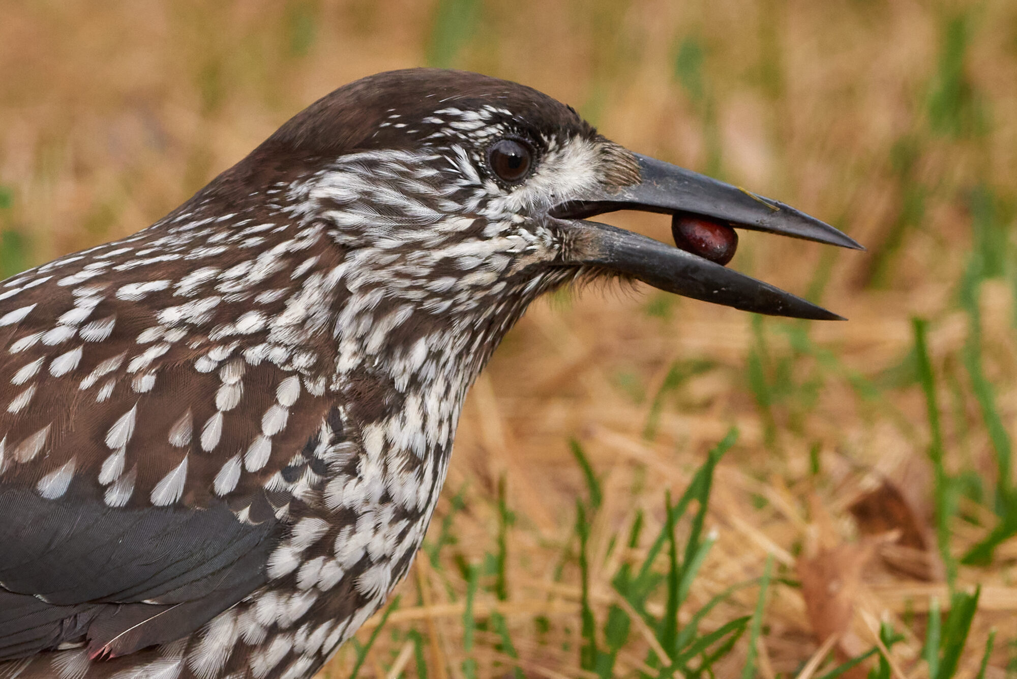 Valokuvaaja: Kari peräsalo