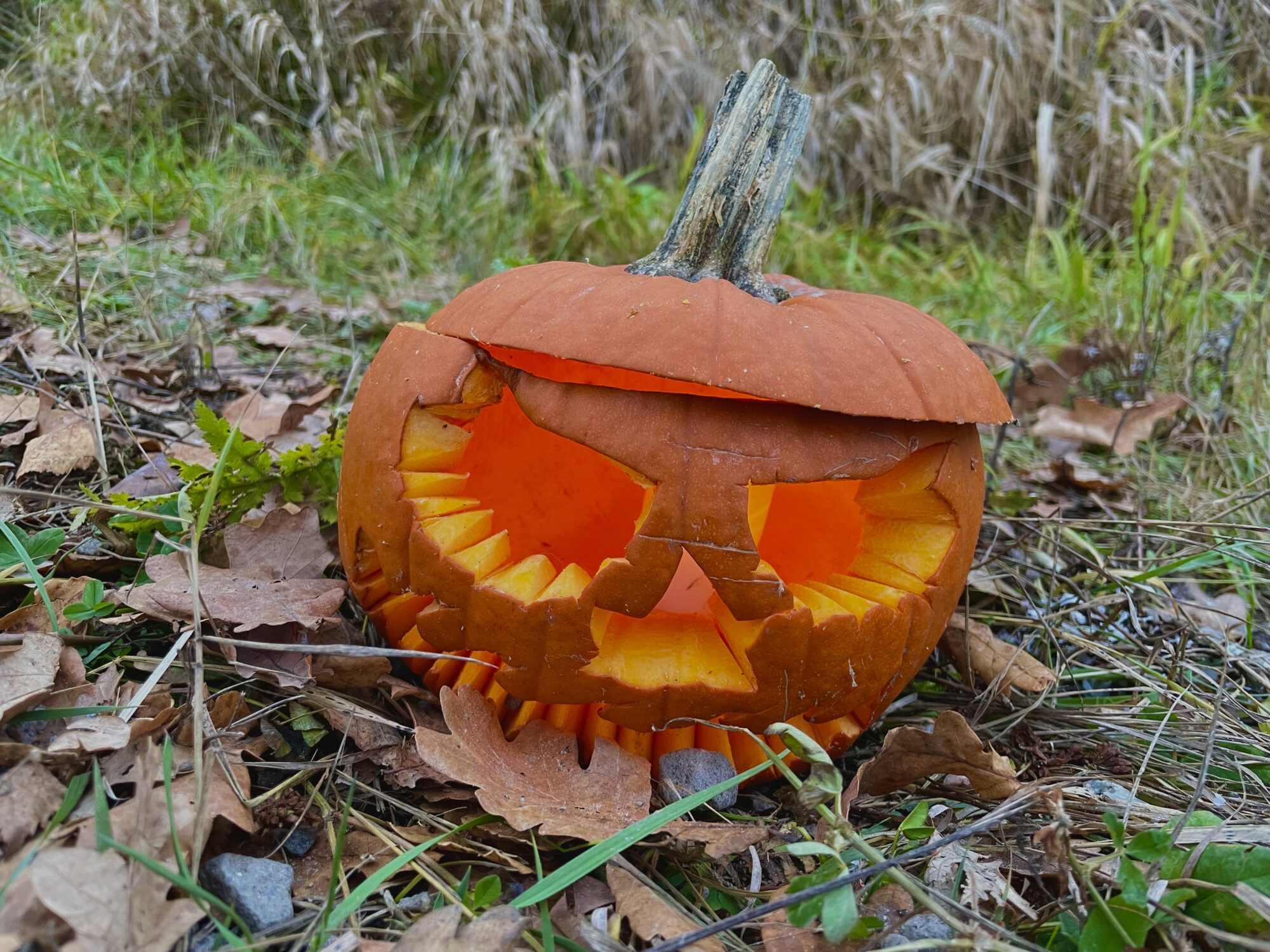 Valokuvaaja: Juhani Peltonen