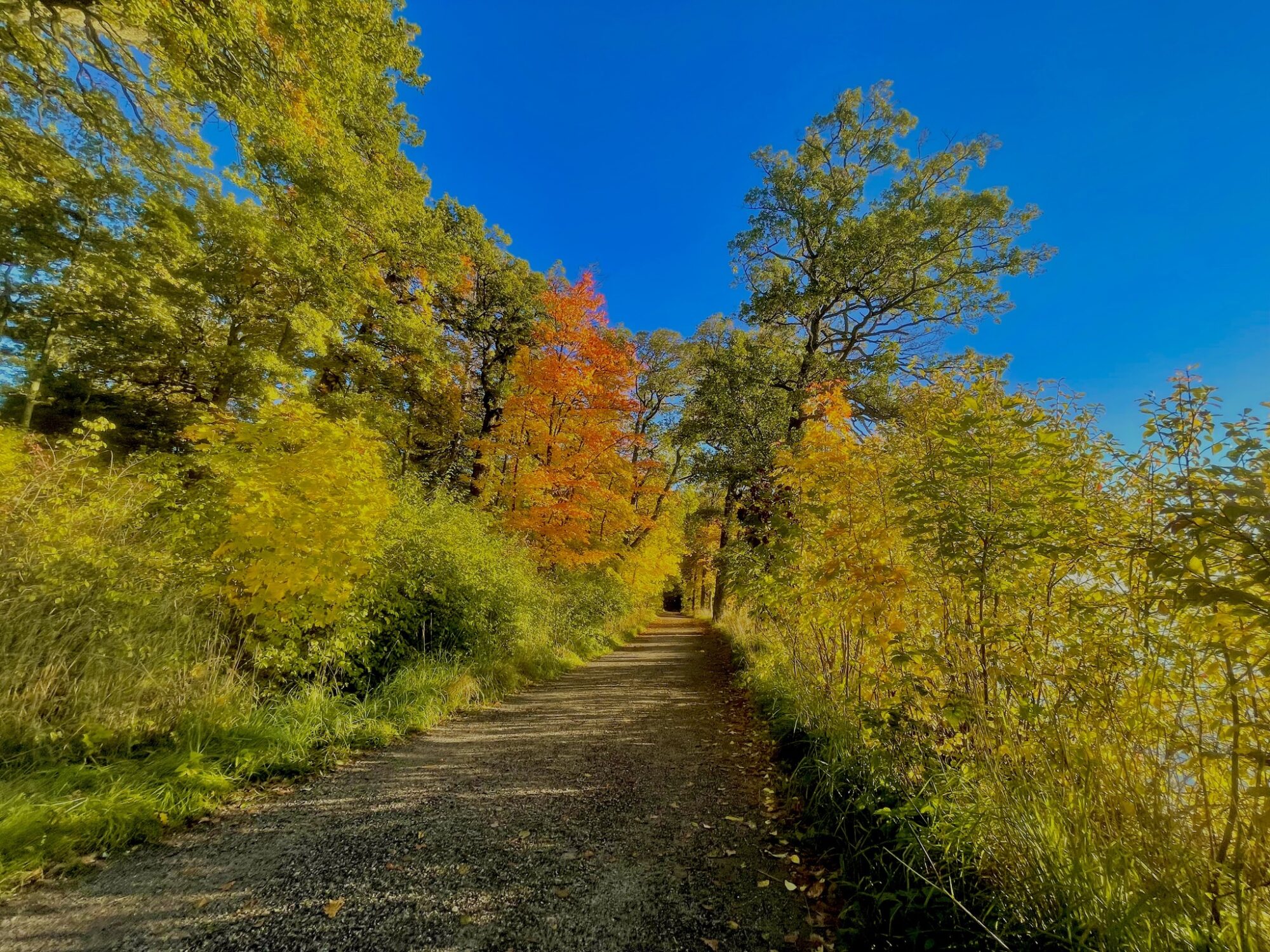 Valokuvaaja: Juhani Peltonen
