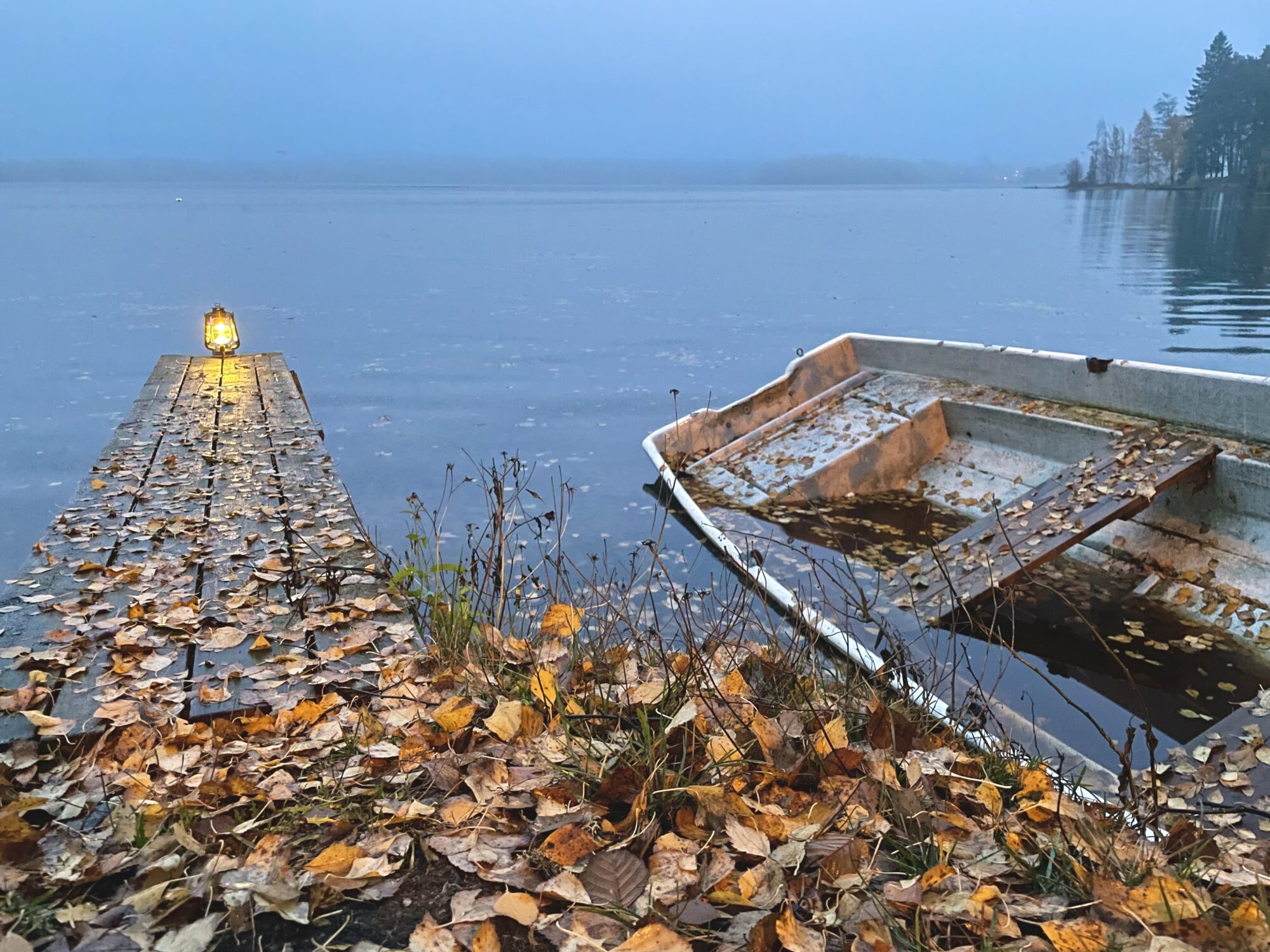 Valokuvaaja: Juhani Peltonen