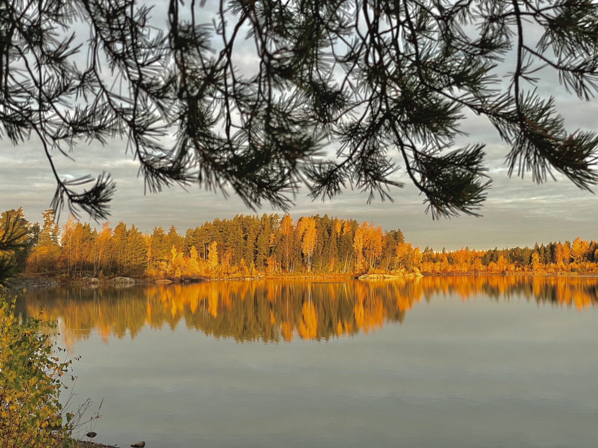 Valokuvaaja: Juhani Peltonen