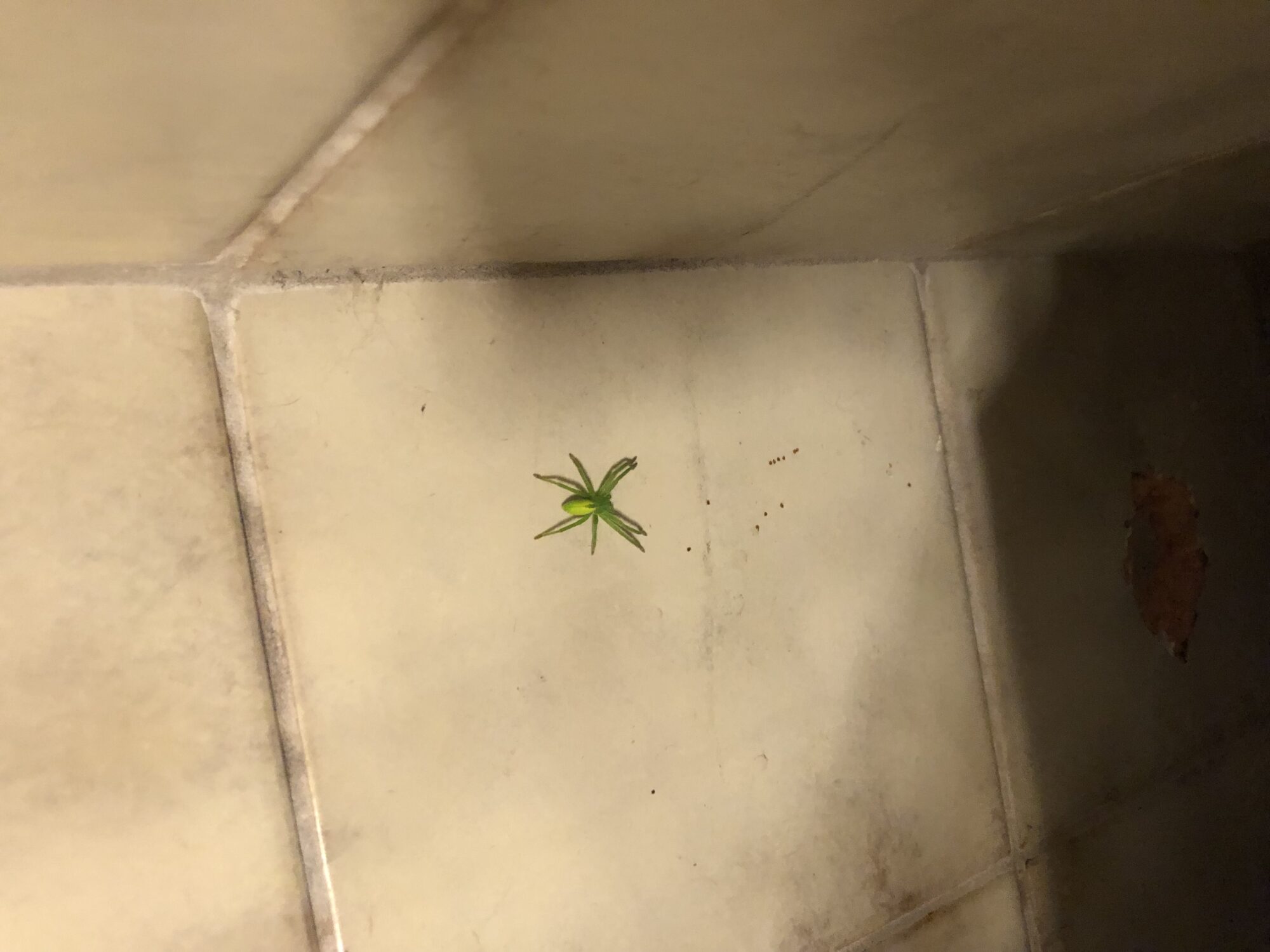 Valokuvaaja: Hanna Kytömäki