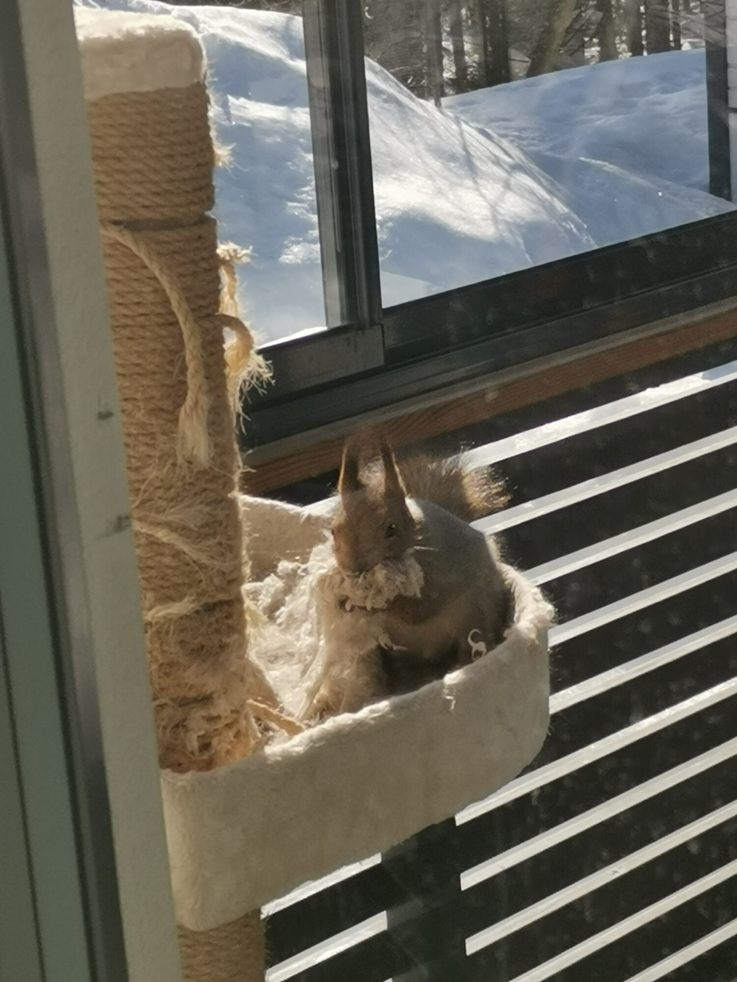 Valokuvaaja: Heidi Valokuvaaja: Heidi