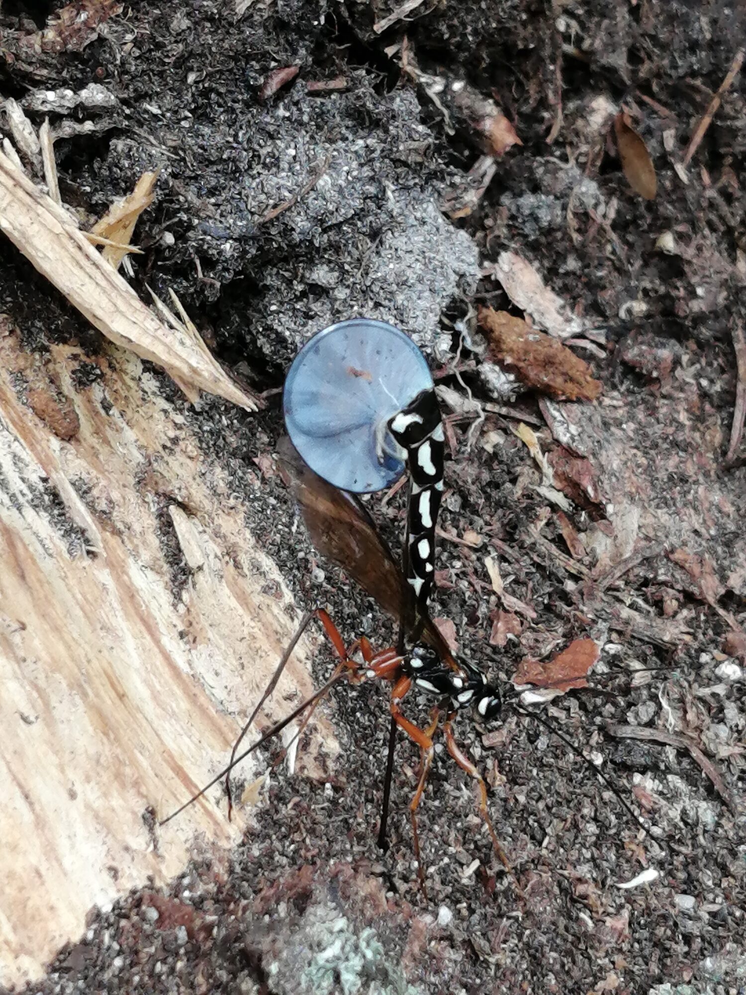 Valokuvaaja: Sari Ylönen Valokuvaaja: Sari Ylönen