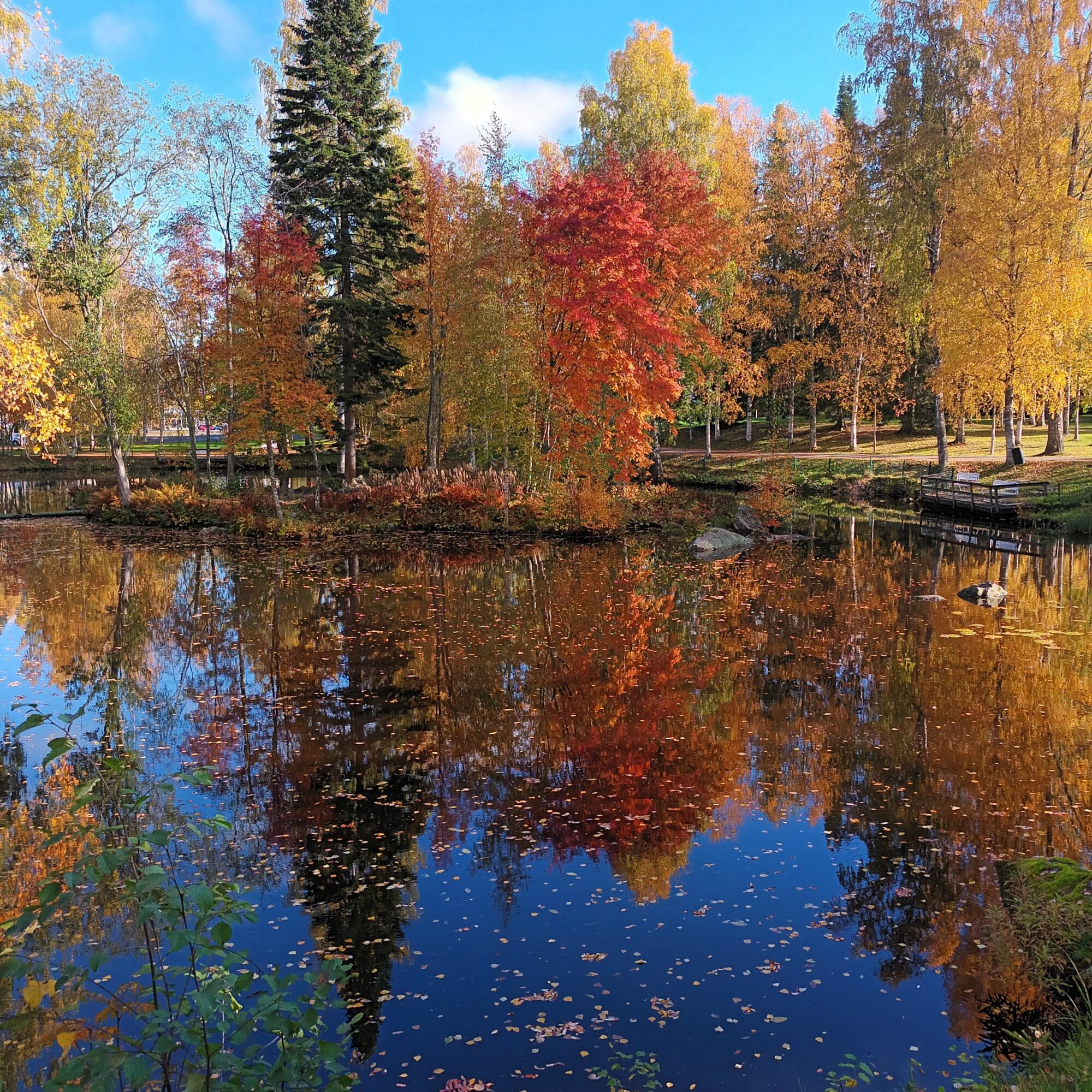 Valokuvaaja: Sirkka Perttu