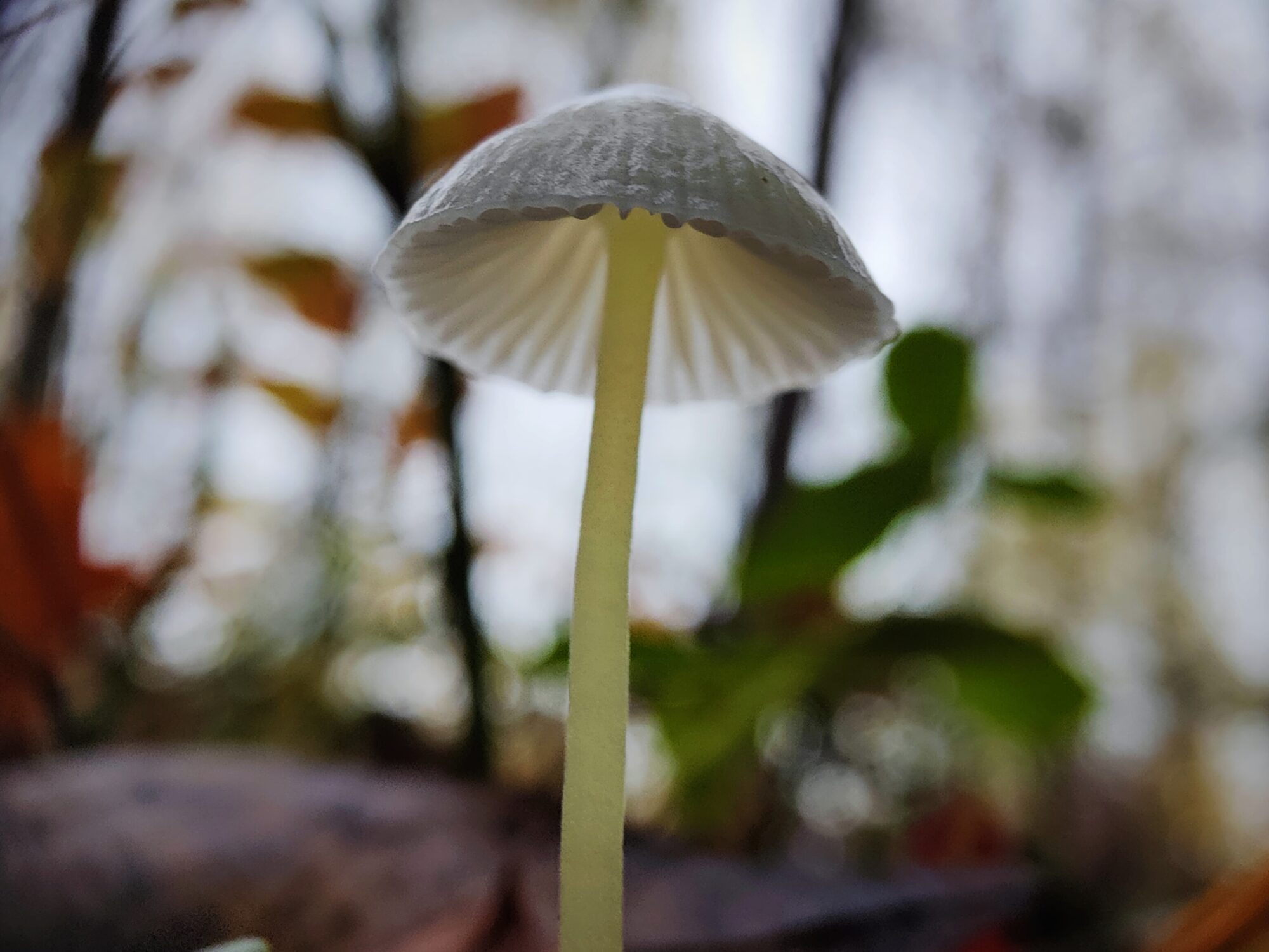 Valokuvaaja: Seppo Tolin