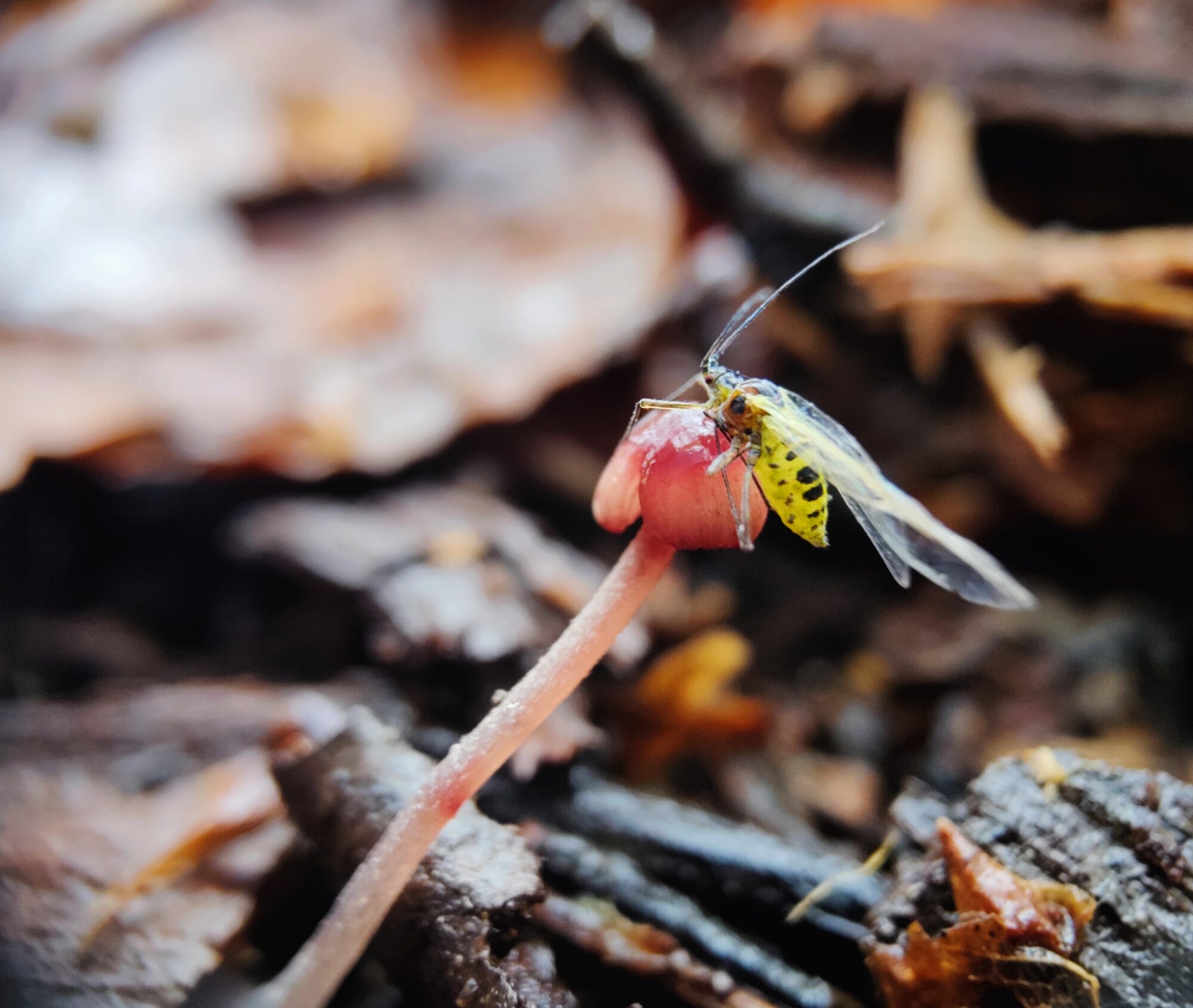 Valokuvaaja: Seppo Tolin