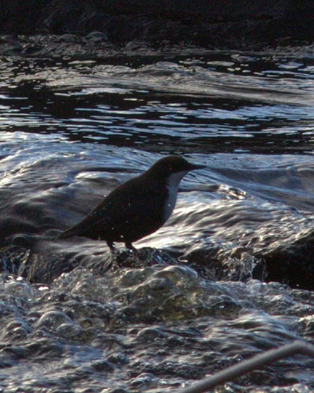 Valokuvaaja: Tapio Keinonen
