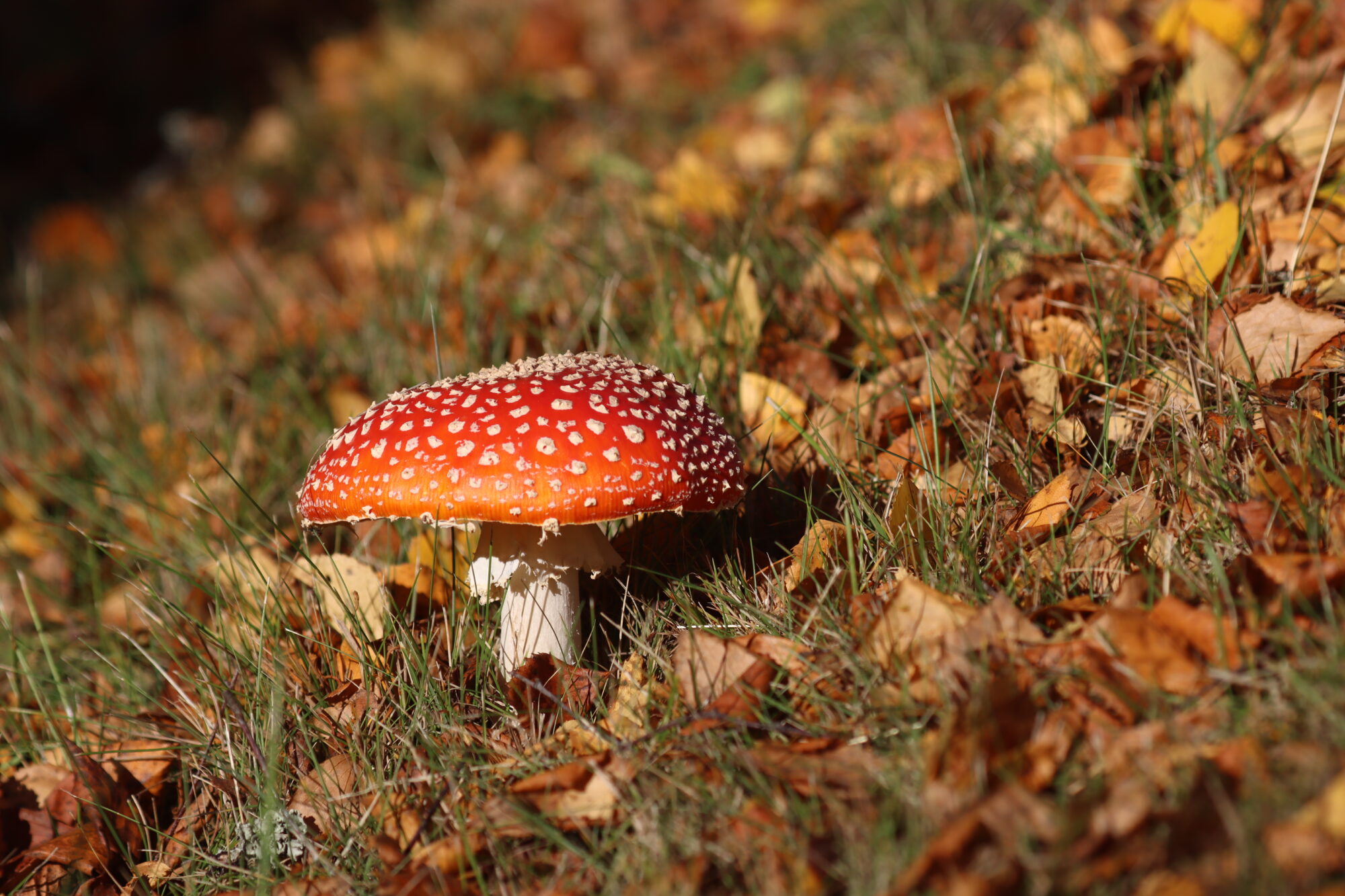 Valokuvaaja: Susanna Hannula