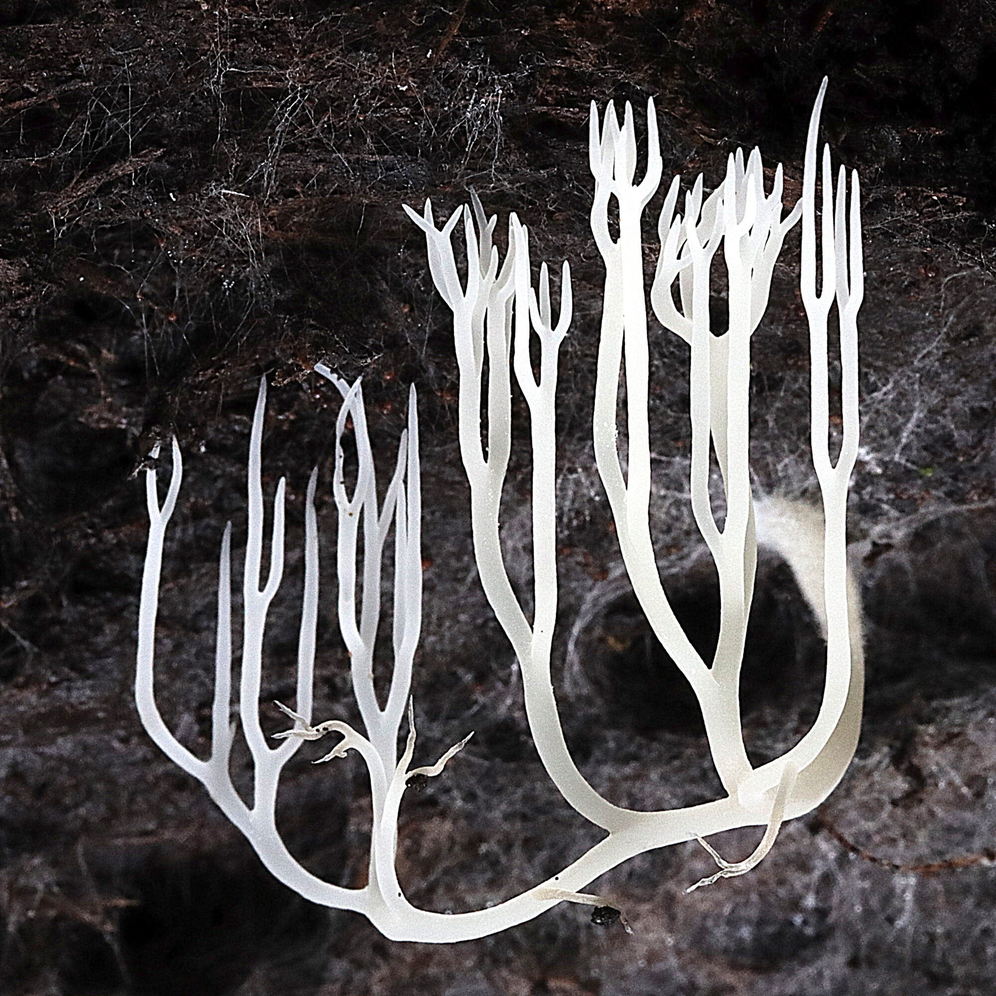 Valokuvaaja: Hannu Rasiranta Valokuvaaja: Hannu Rasiranta