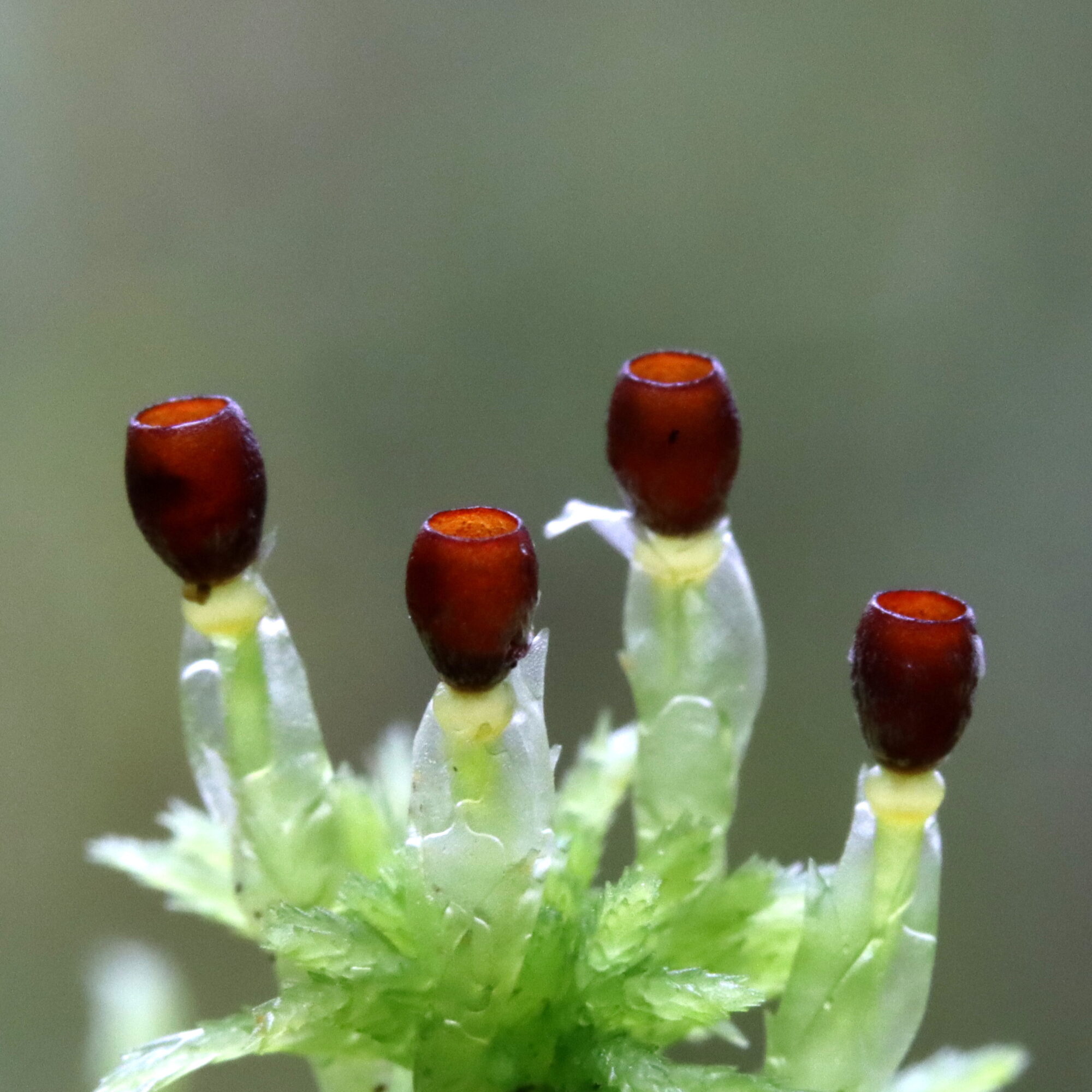 Valokuvaaja: Hannu Rasiranta